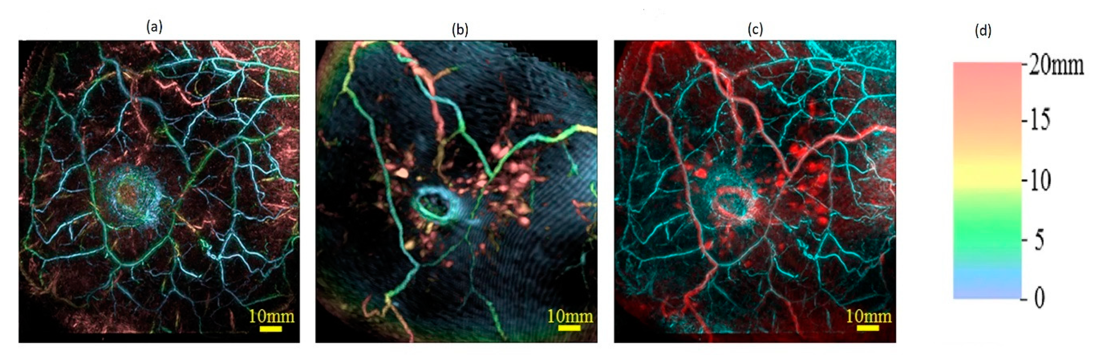 Applsci 10 00767 g004 Applsci 10 00767 g004