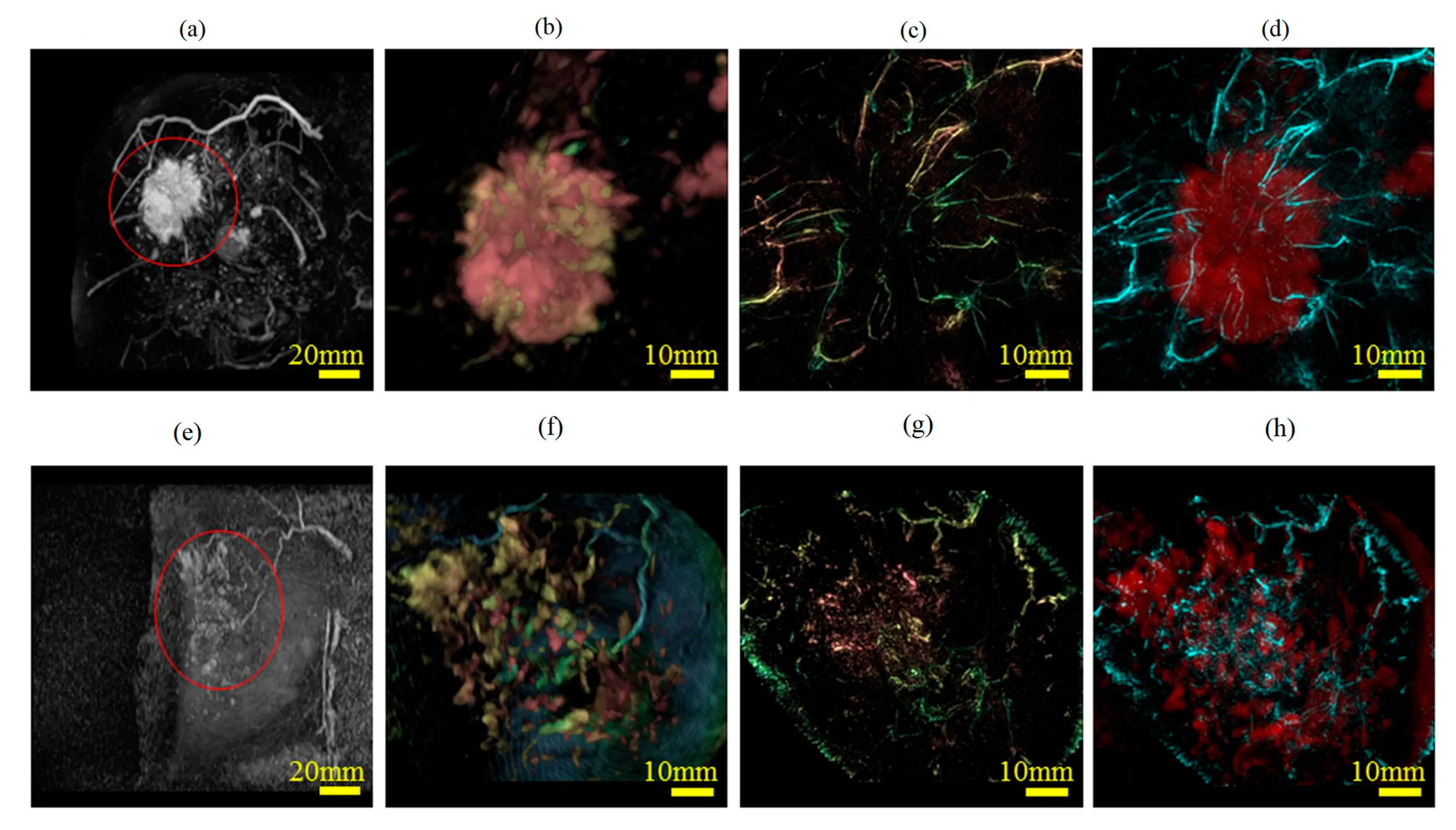 Applsci 10 00767 g005 Applsci 10 00767 g005