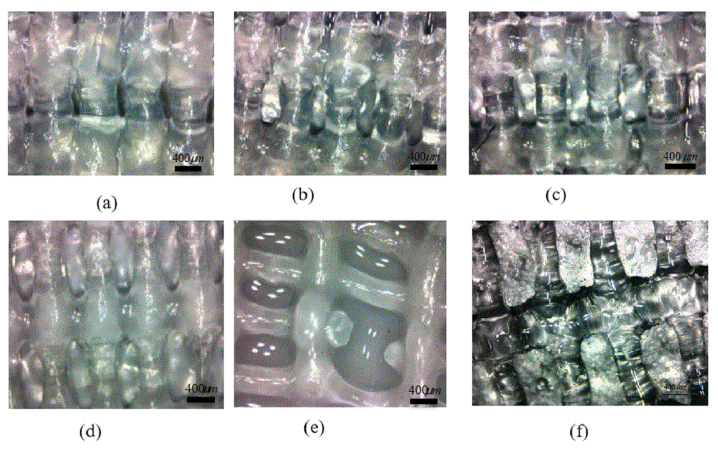 Applsci 10 00768 g010 Applsci 10 00768 g010