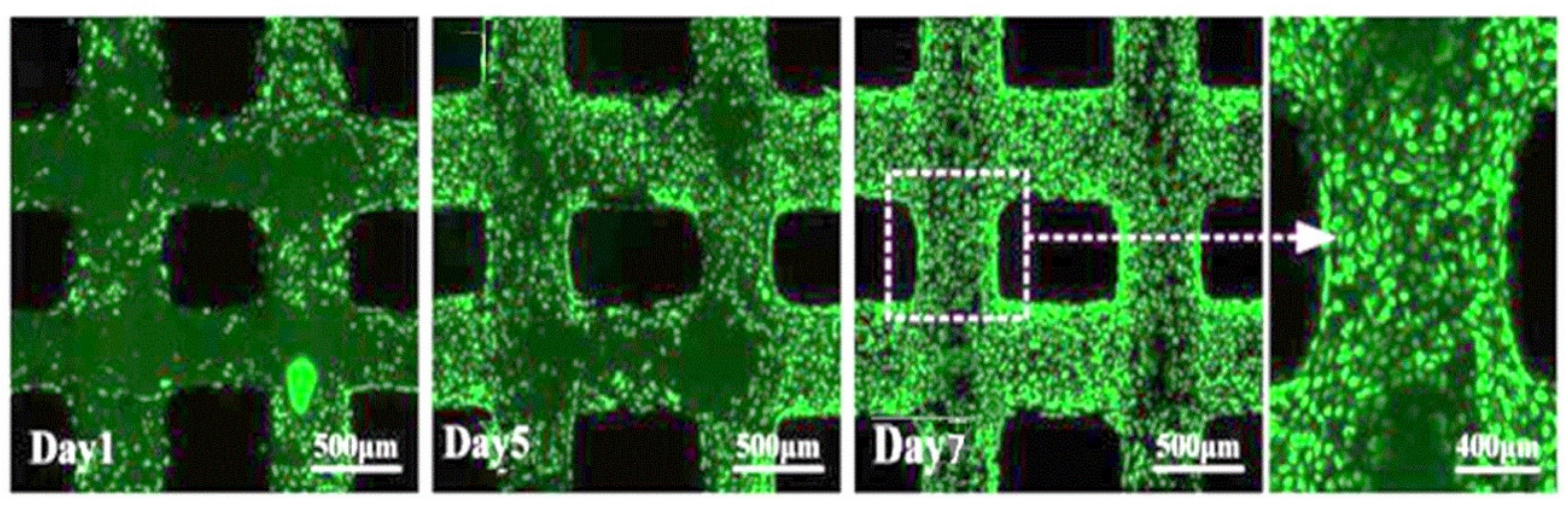 Applsci 10 00768 g018 Applsci 10 00768 g018
