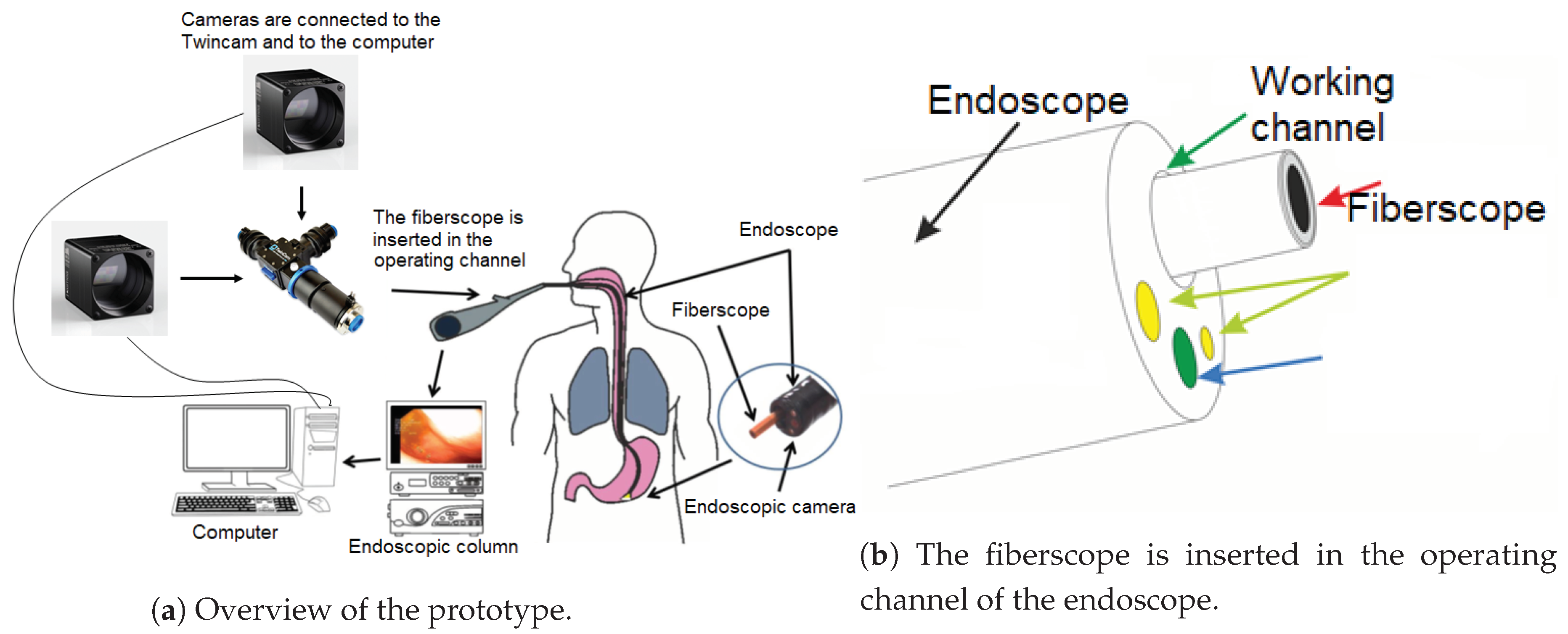 Applsci 10 00795 g002