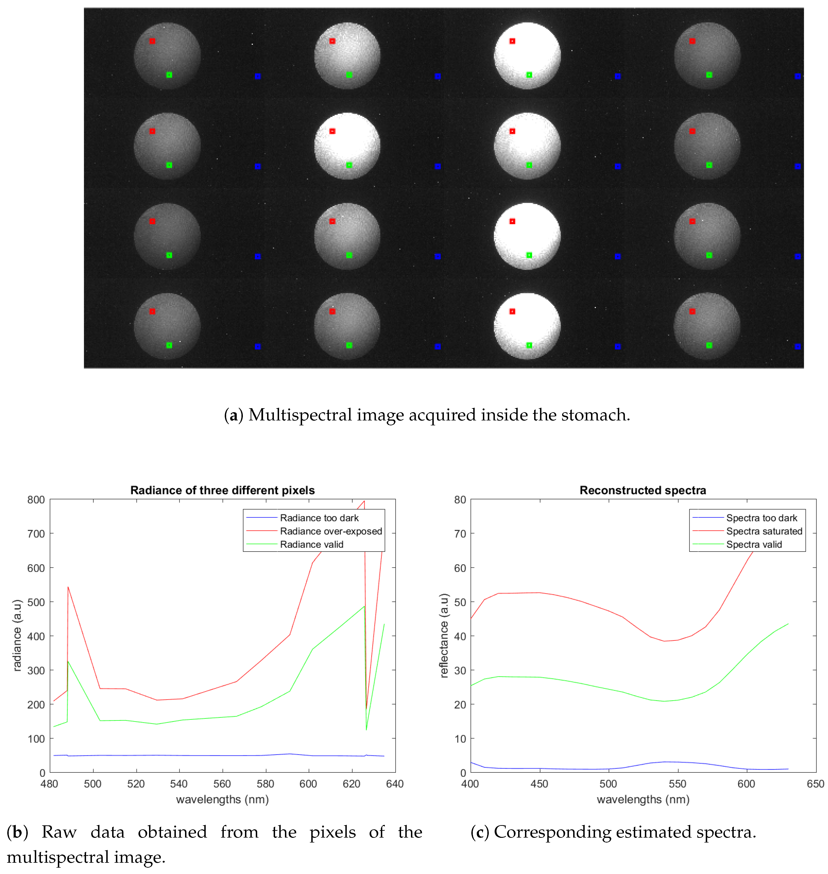 Applsci 10 00795 g003