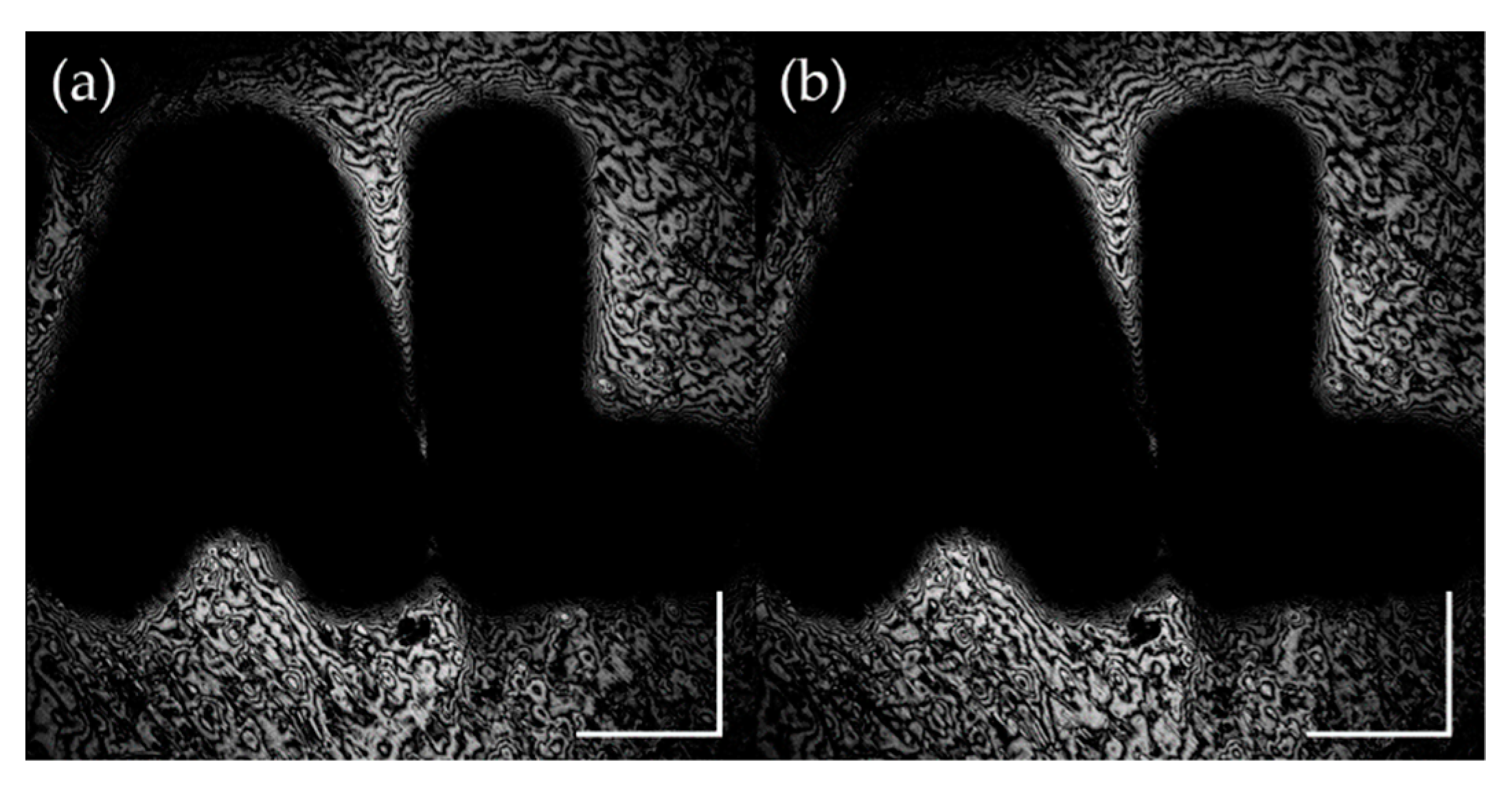 Applsci 10 00830 g005