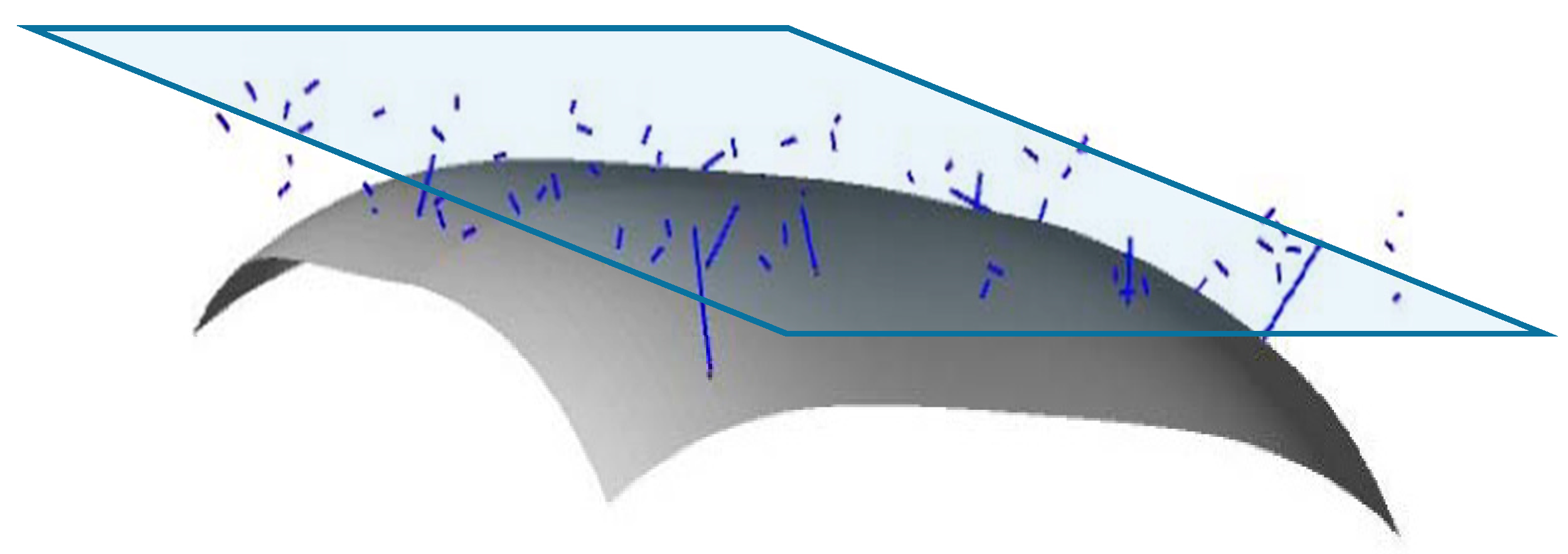 Applsci 10 00872 g007