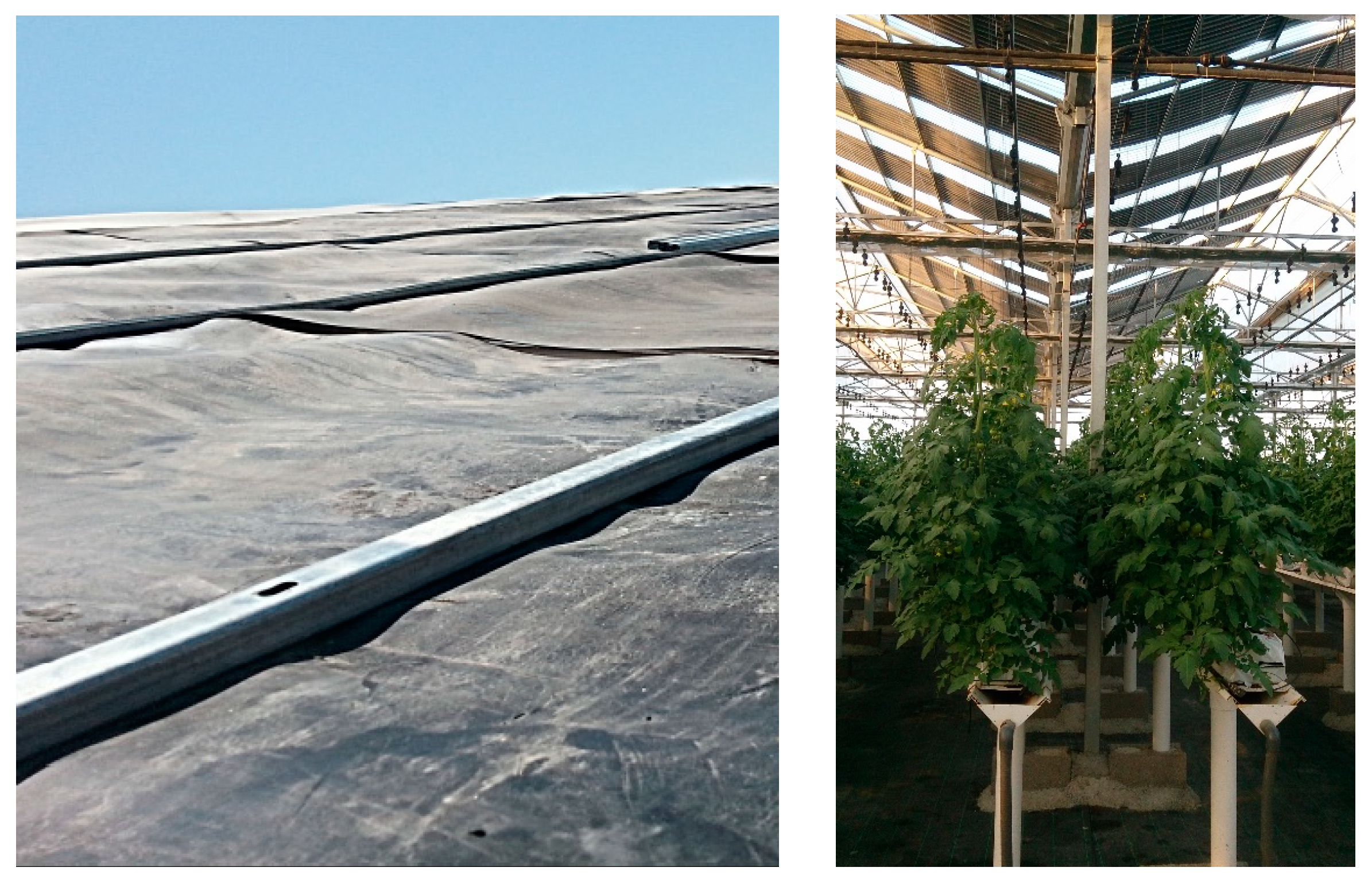 Applsci 10 00882 g002 Applsci 10 00882 g002