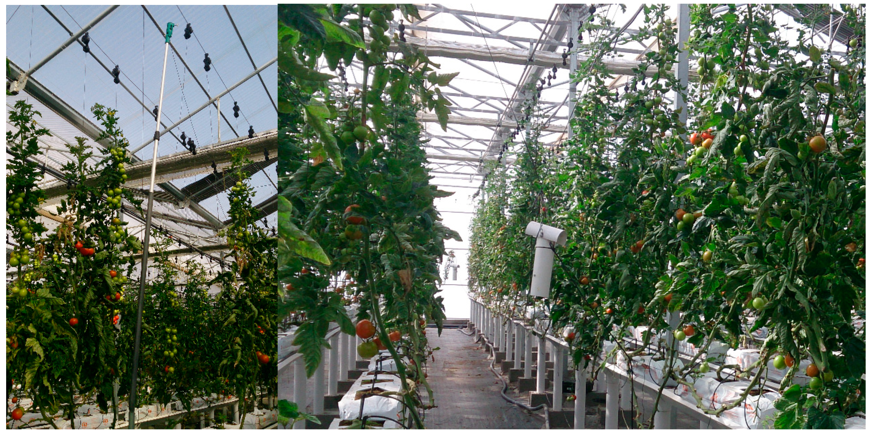 Applsci 10 00882 g006 Applsci 10 00882 g006