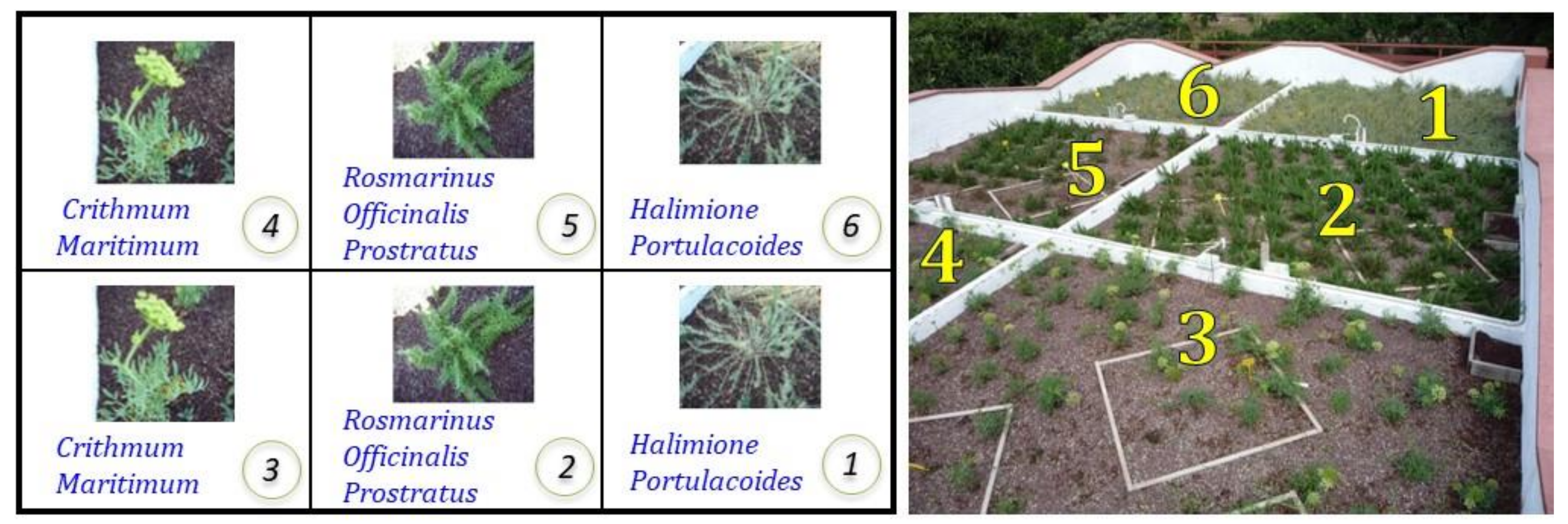 Applsci 10 00893 g006