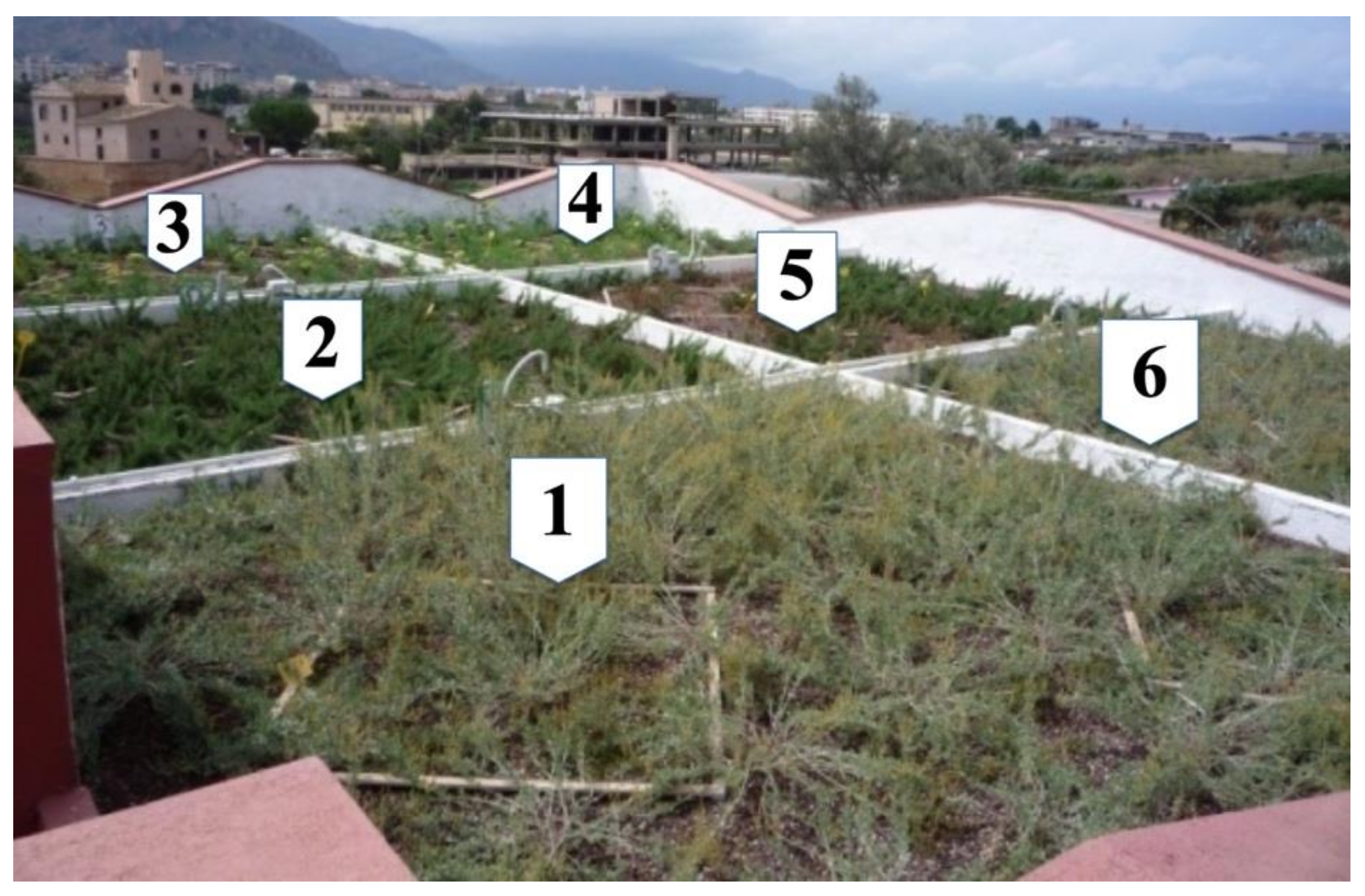 Applsci 10 00893 g007