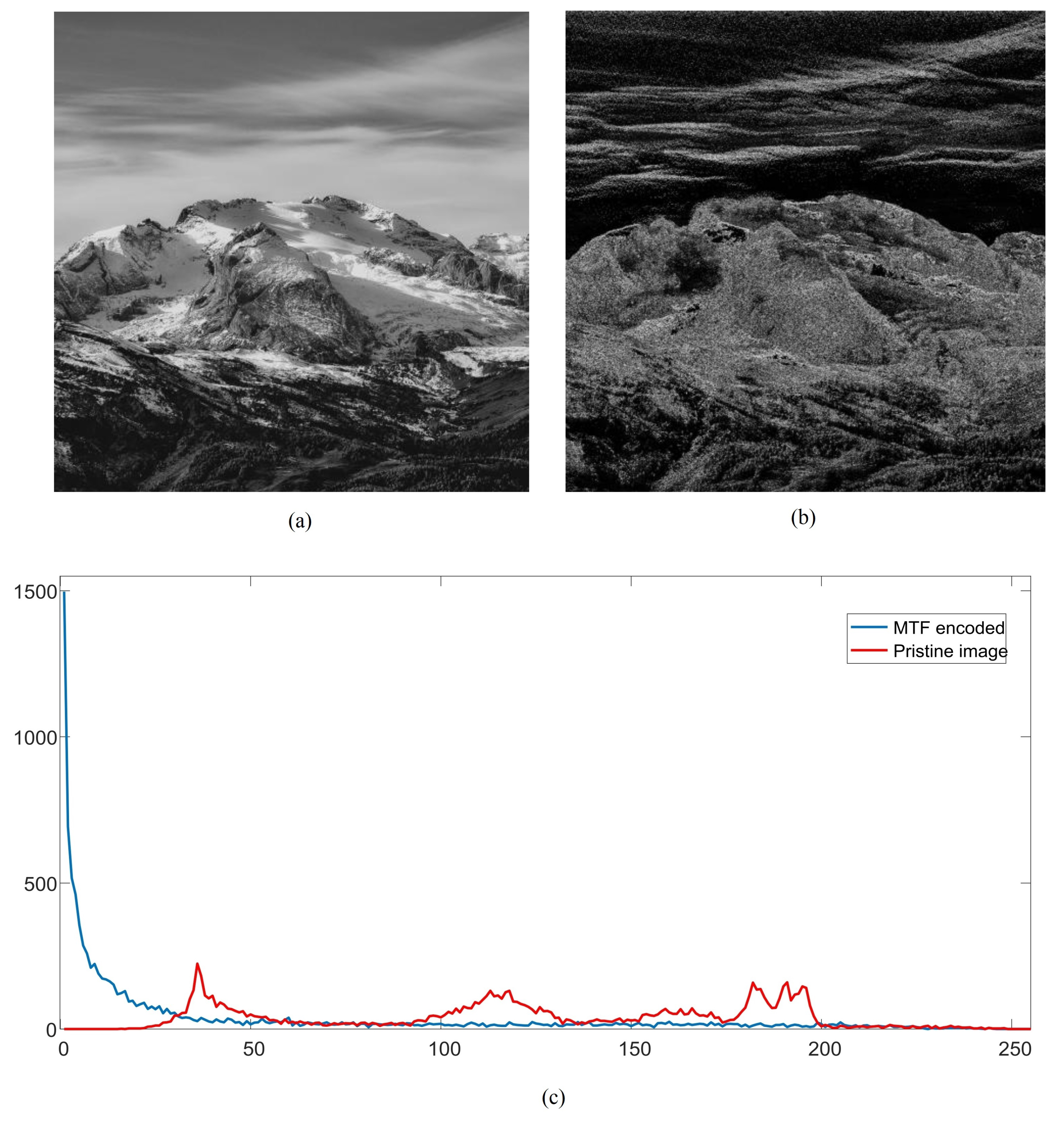 Applsci 10 00937 g011