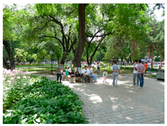 Applsci 10 00960 i006 Applsci 10 00960 i006