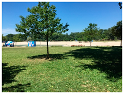 Applsci 10 00960 i018 Applsci 10 00960 i018