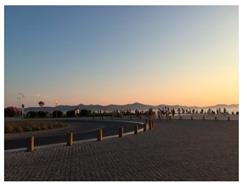 Applsci 10 00960 i022 Applsci 10 00960 i022