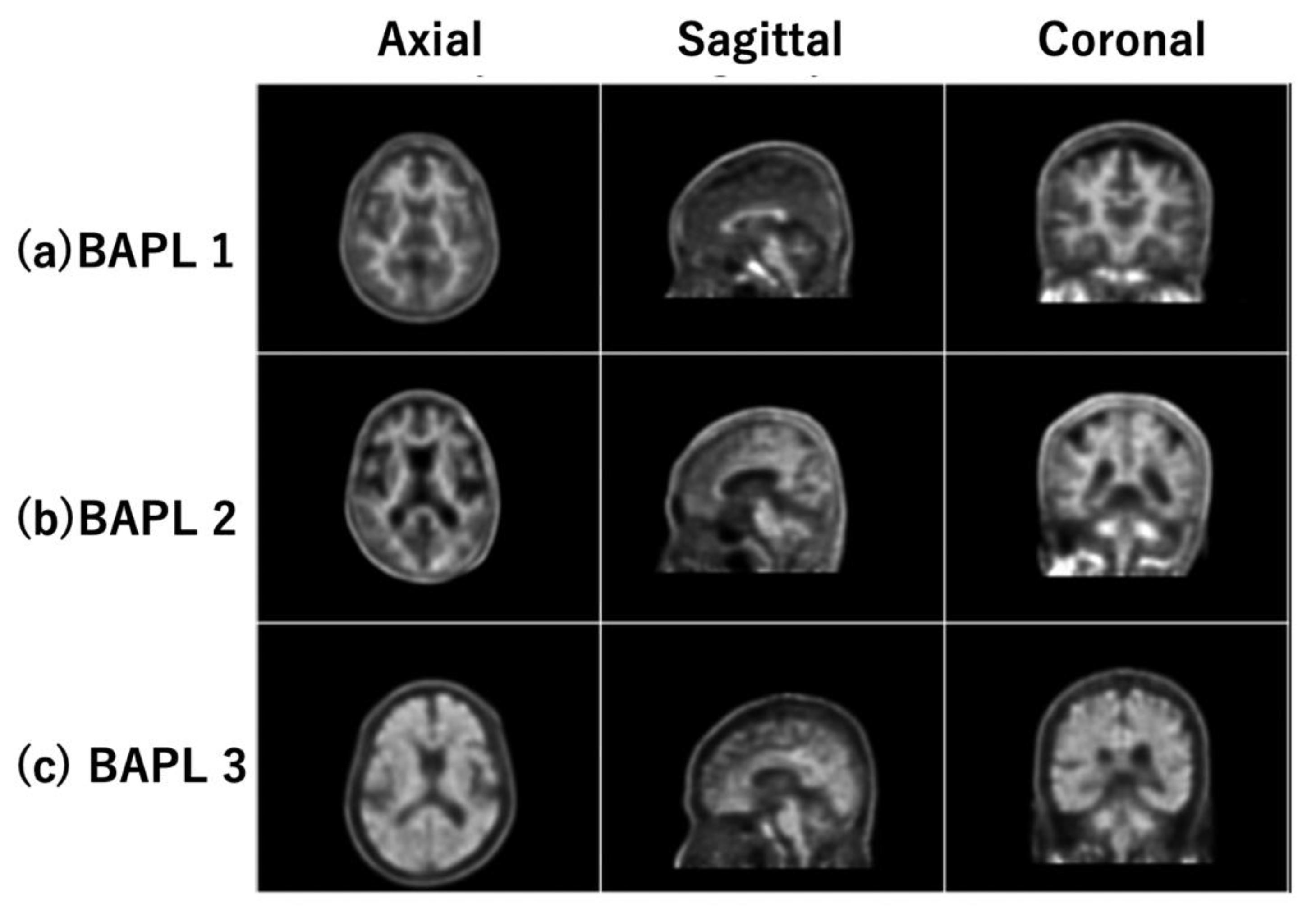 Applsci 10 00965 g001