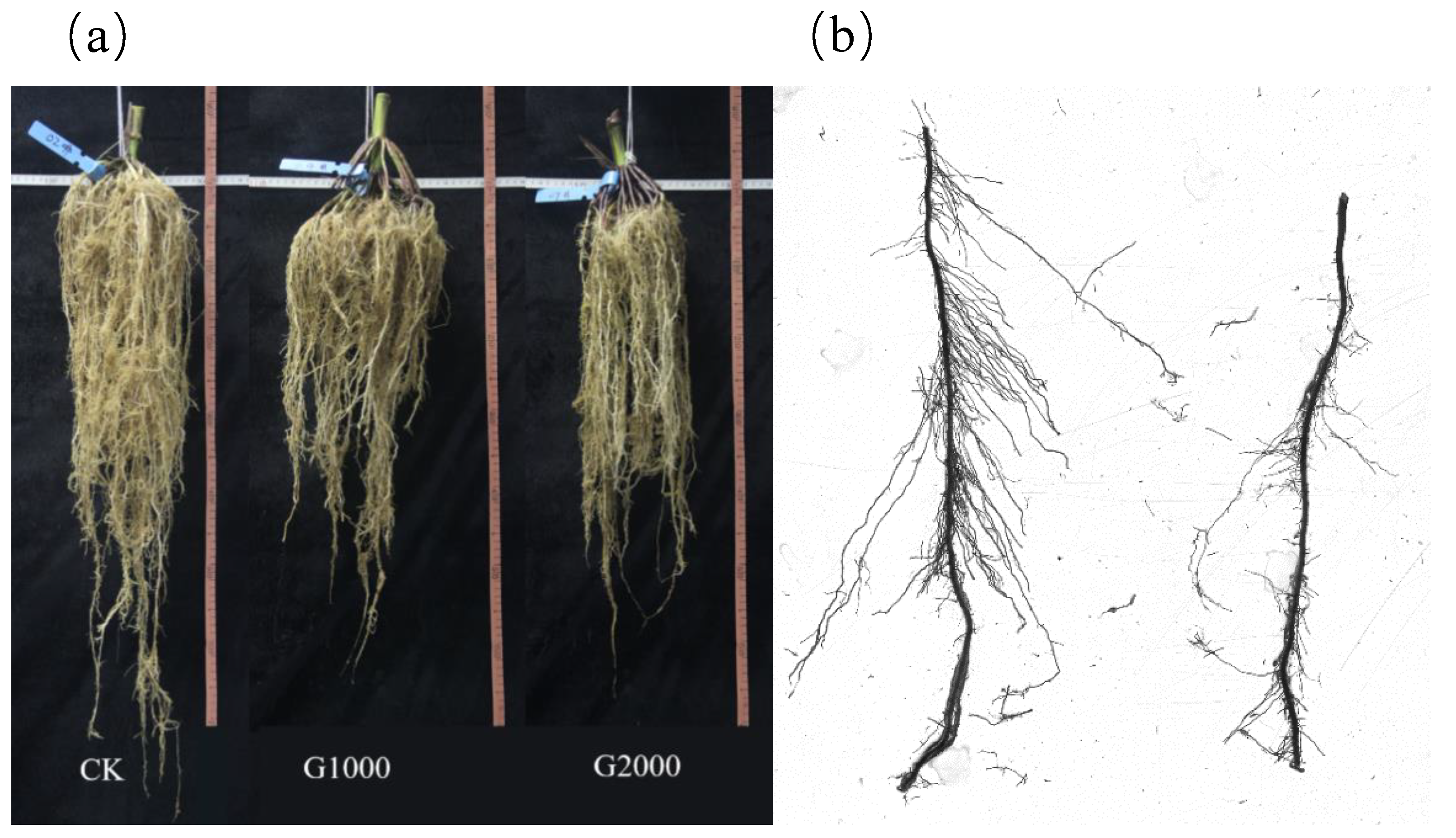 Applsci 10 00968 g002