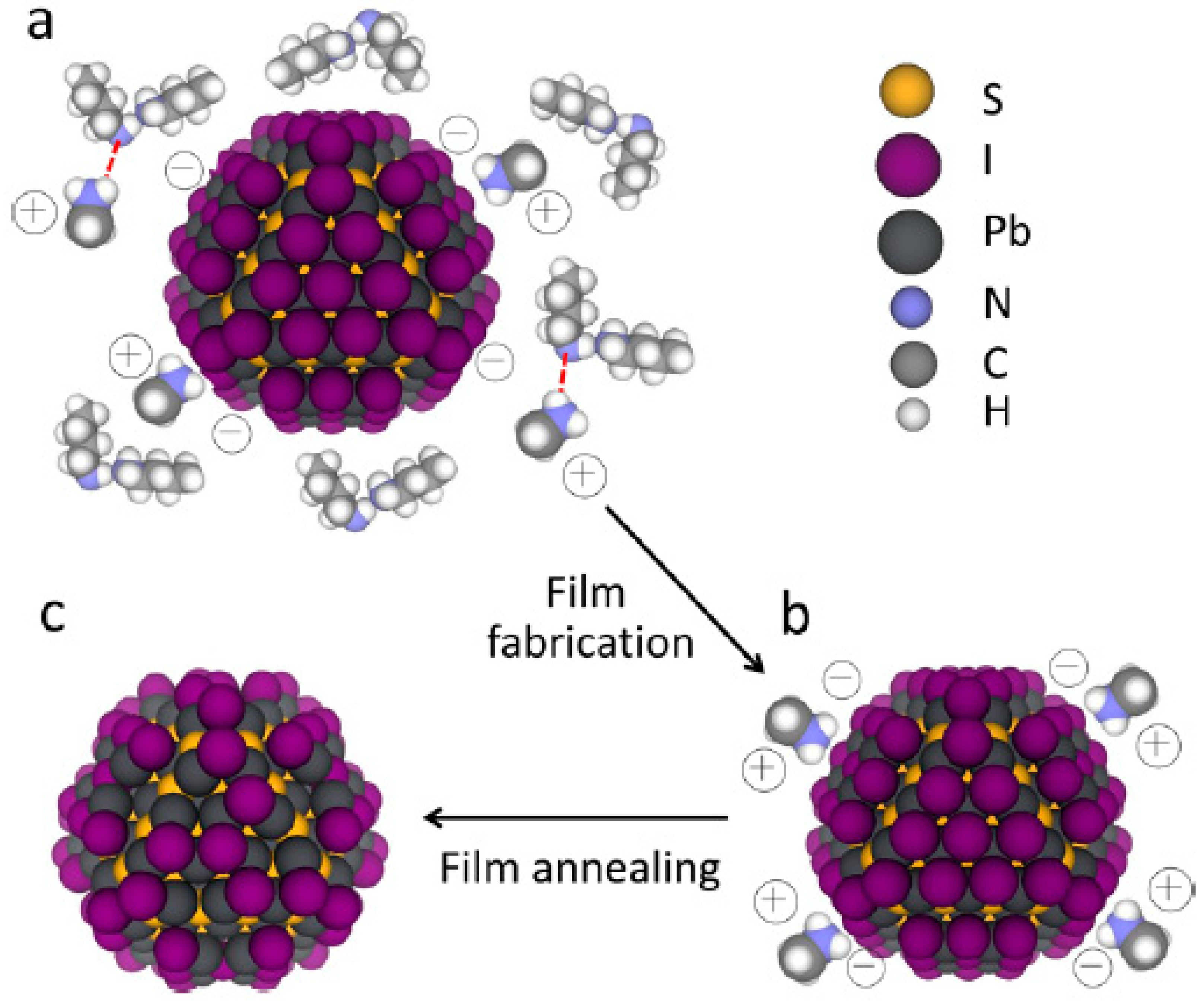 Applsci 10 00975 g006