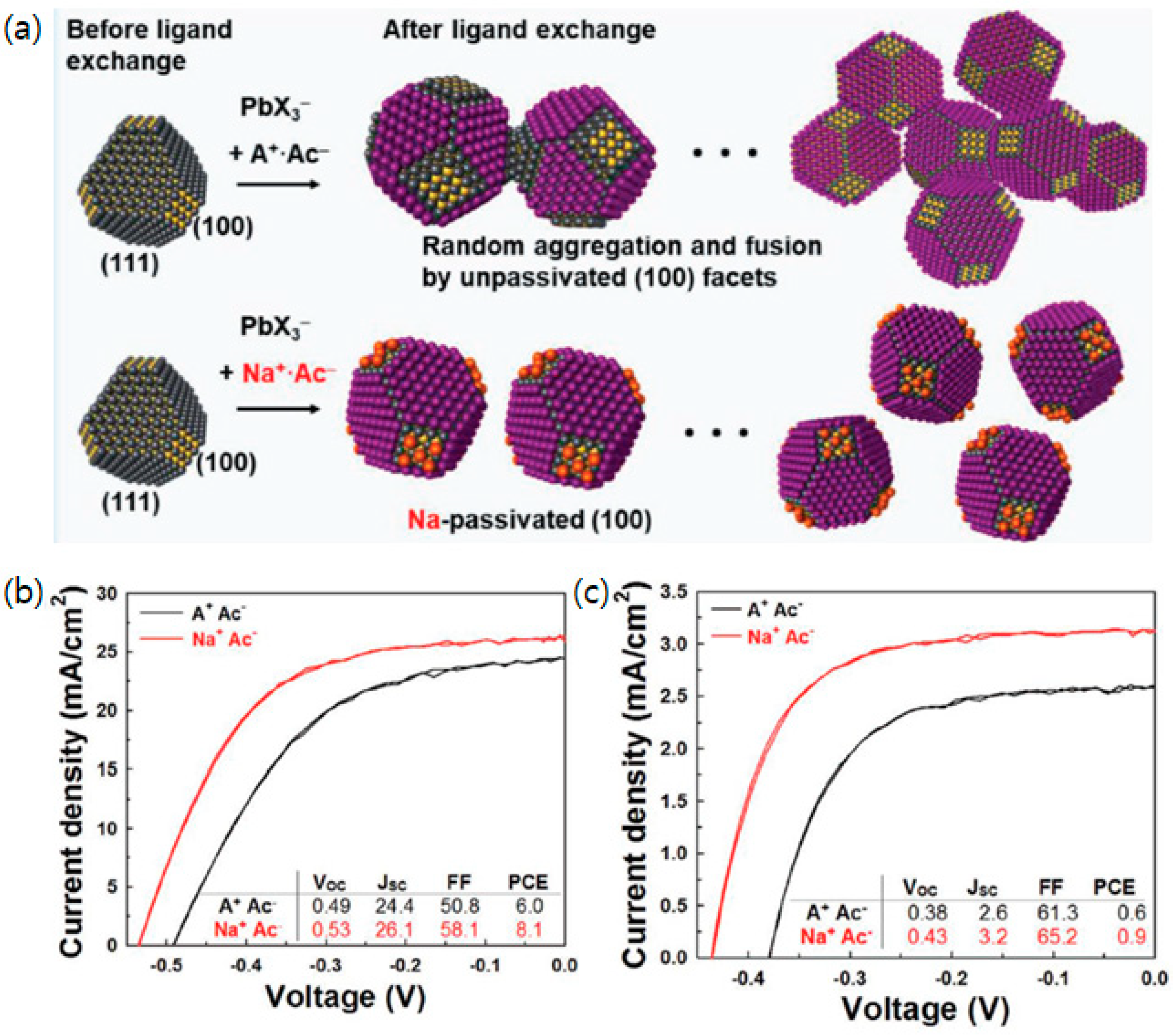Applsci 10 00975 g009