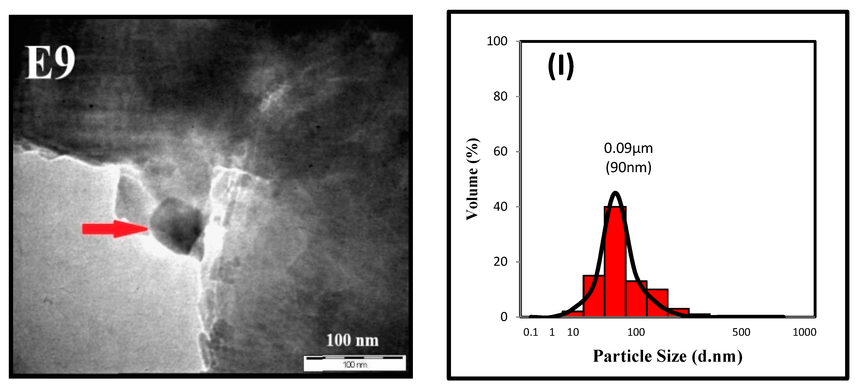 Applsci 10 00985 g005b
