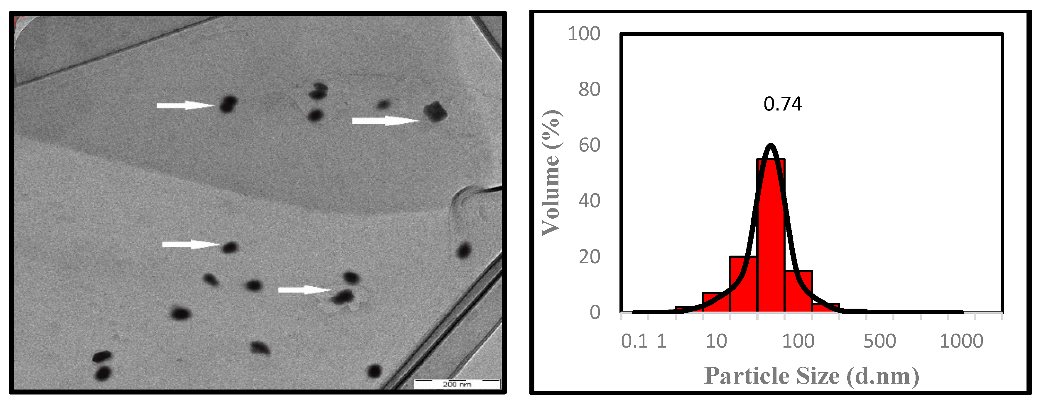 Applsci 10 00985 g007