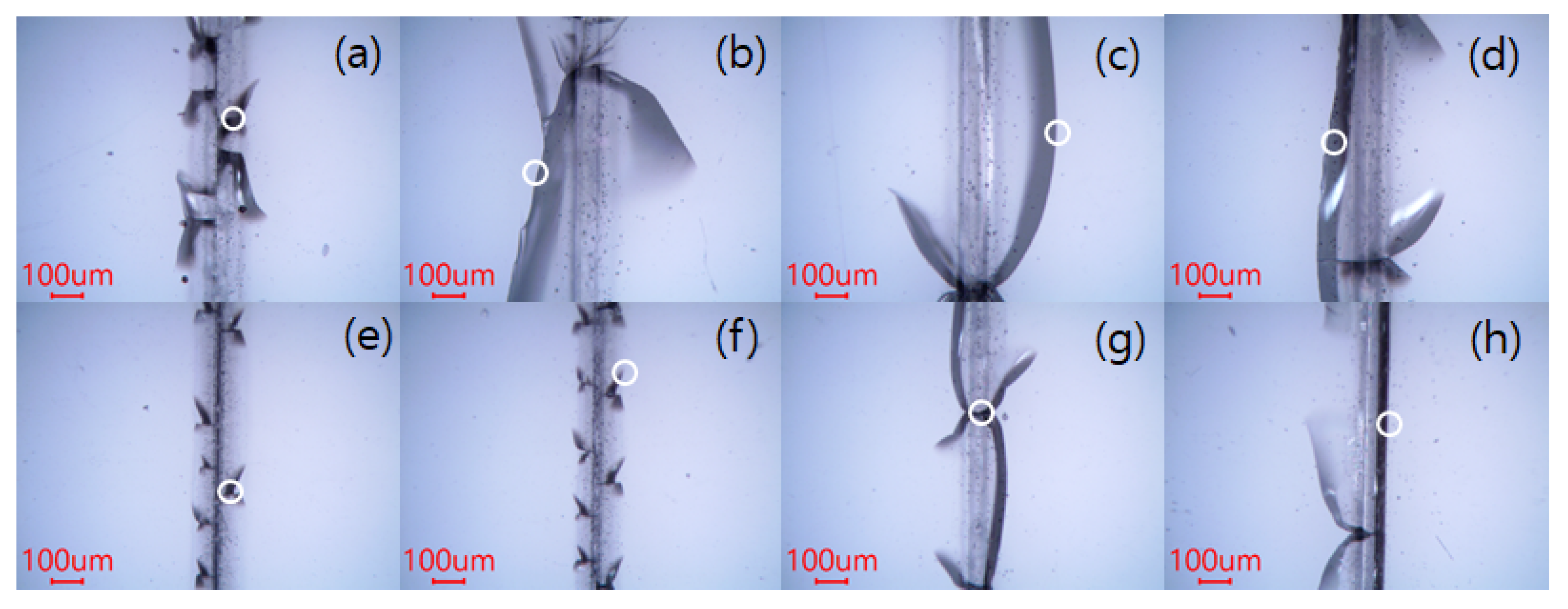 Applsci 10 00987 g005