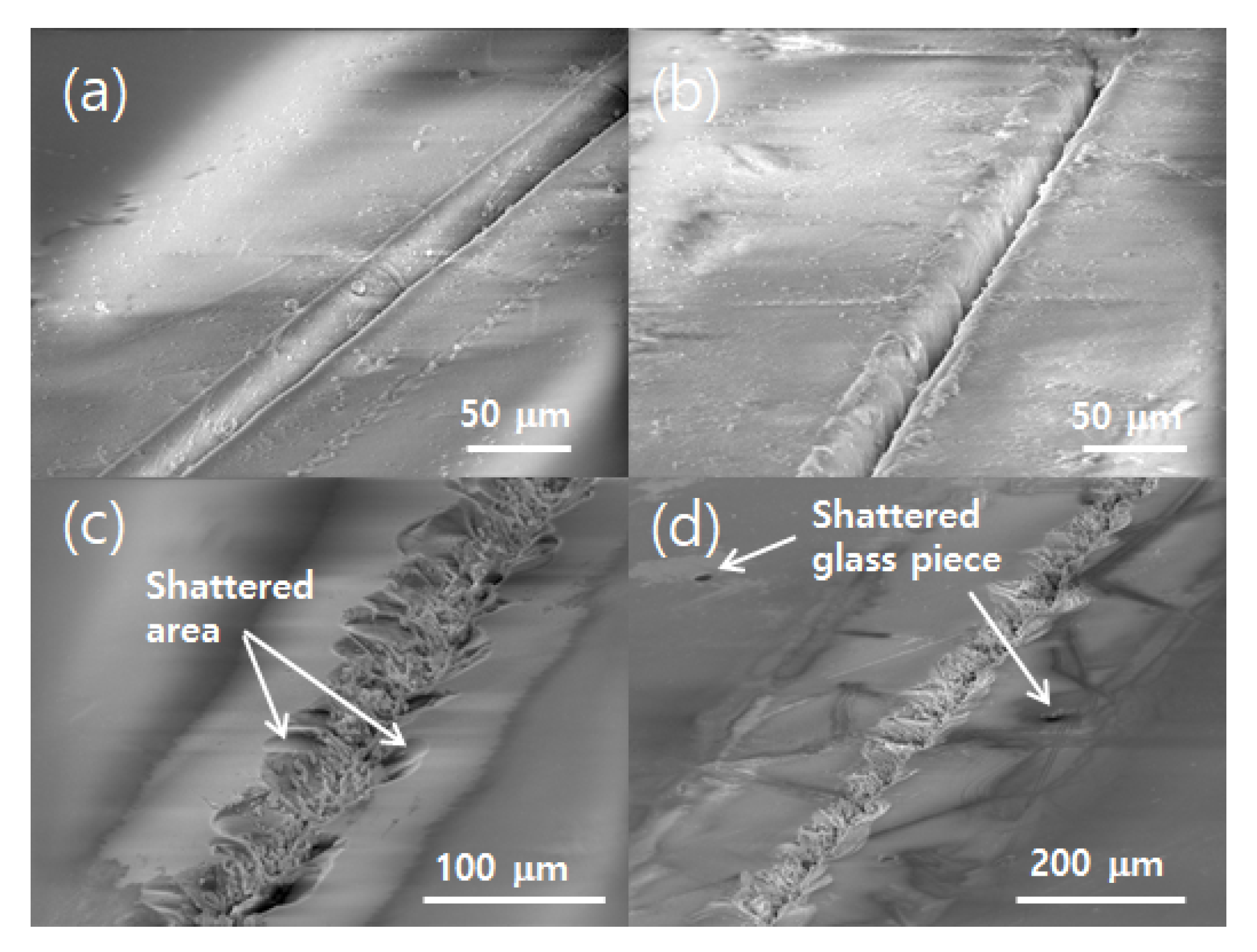 Applsci 10 00987 g007