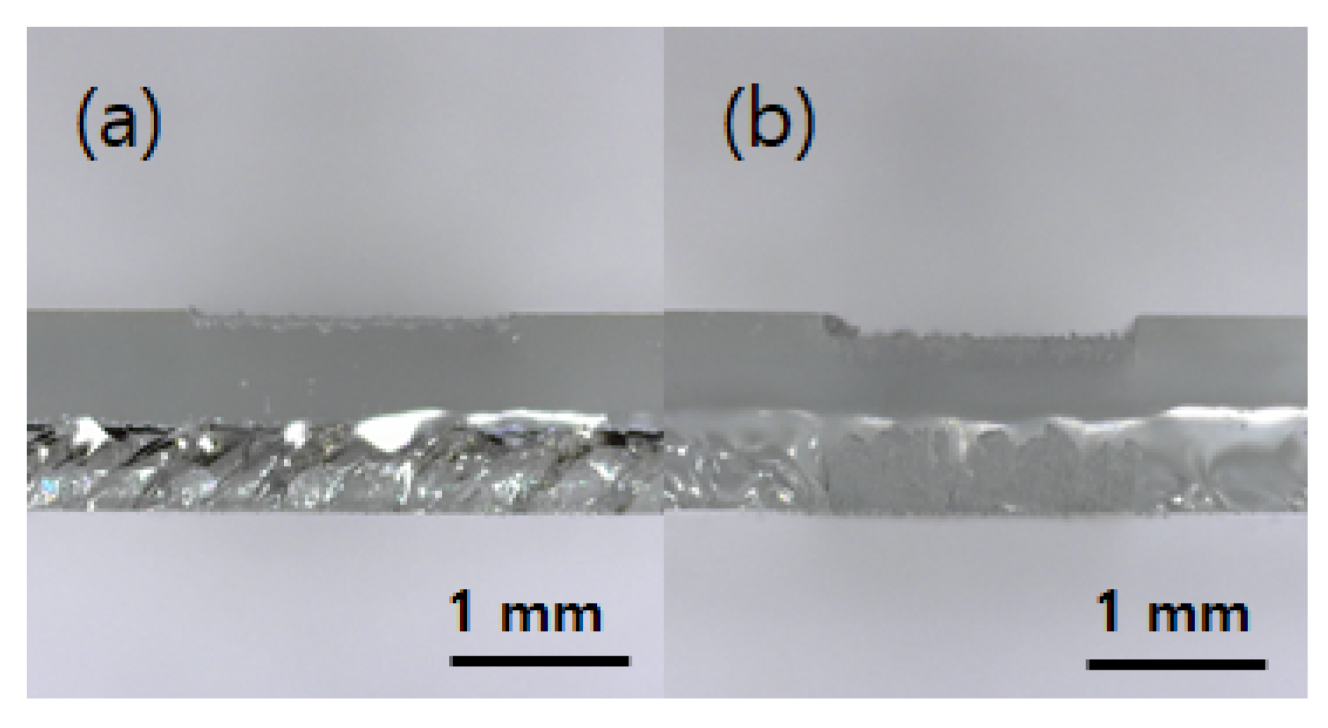 Applsci 10 00987 g012