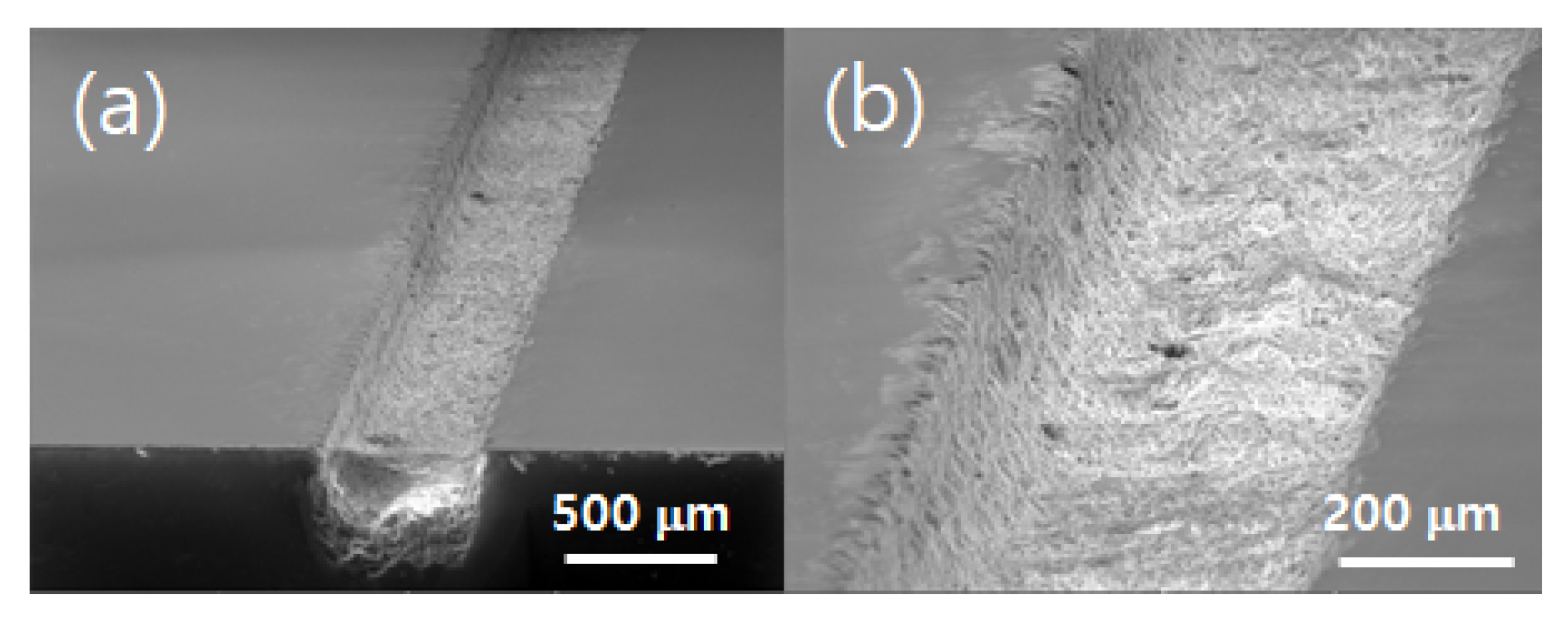 Applsci 10 00987 g013