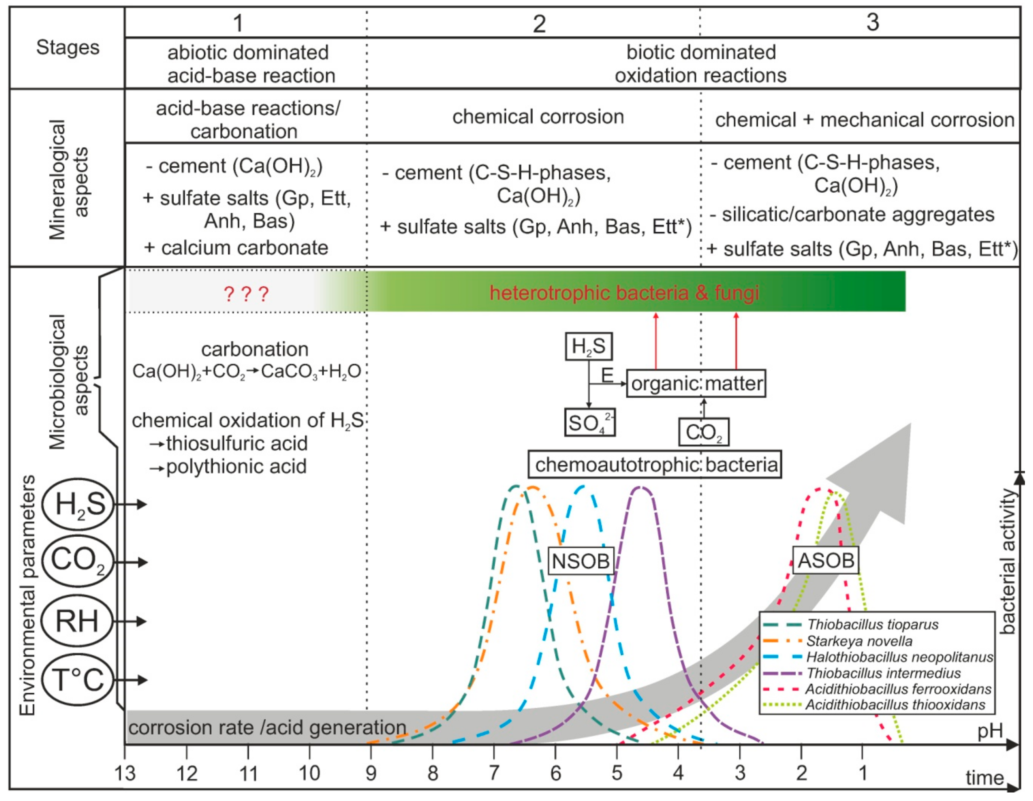 Applsci 10 00990 g003 Applsci 10 00990 g003