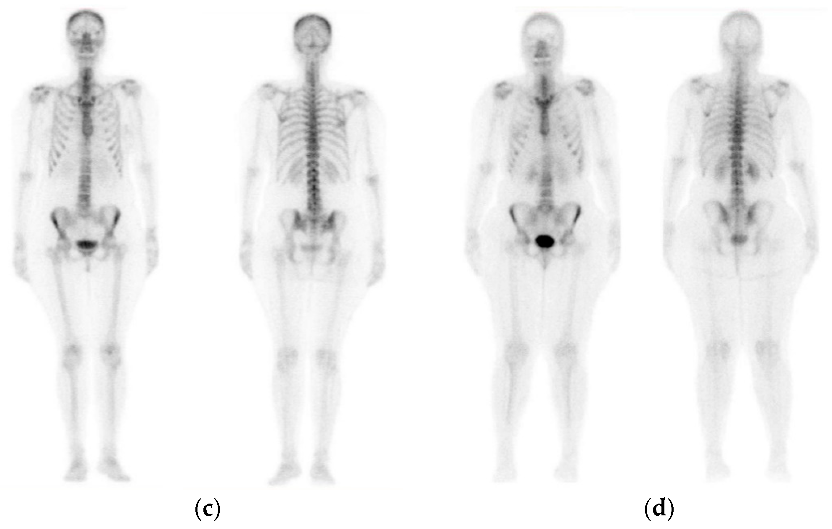 Applsci 10 00997 g001b