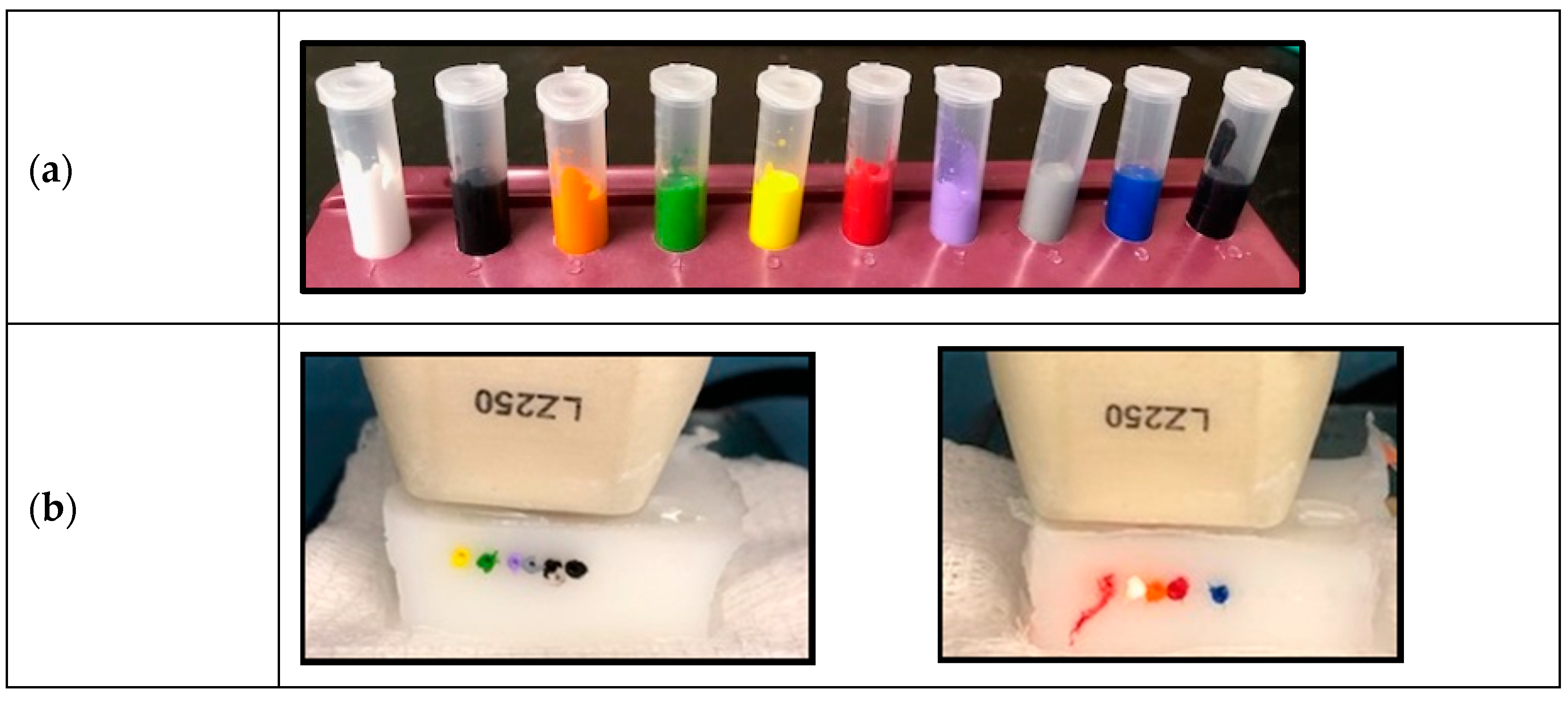 Applsci 10 01024 g001 Applsci 10 01024 g001