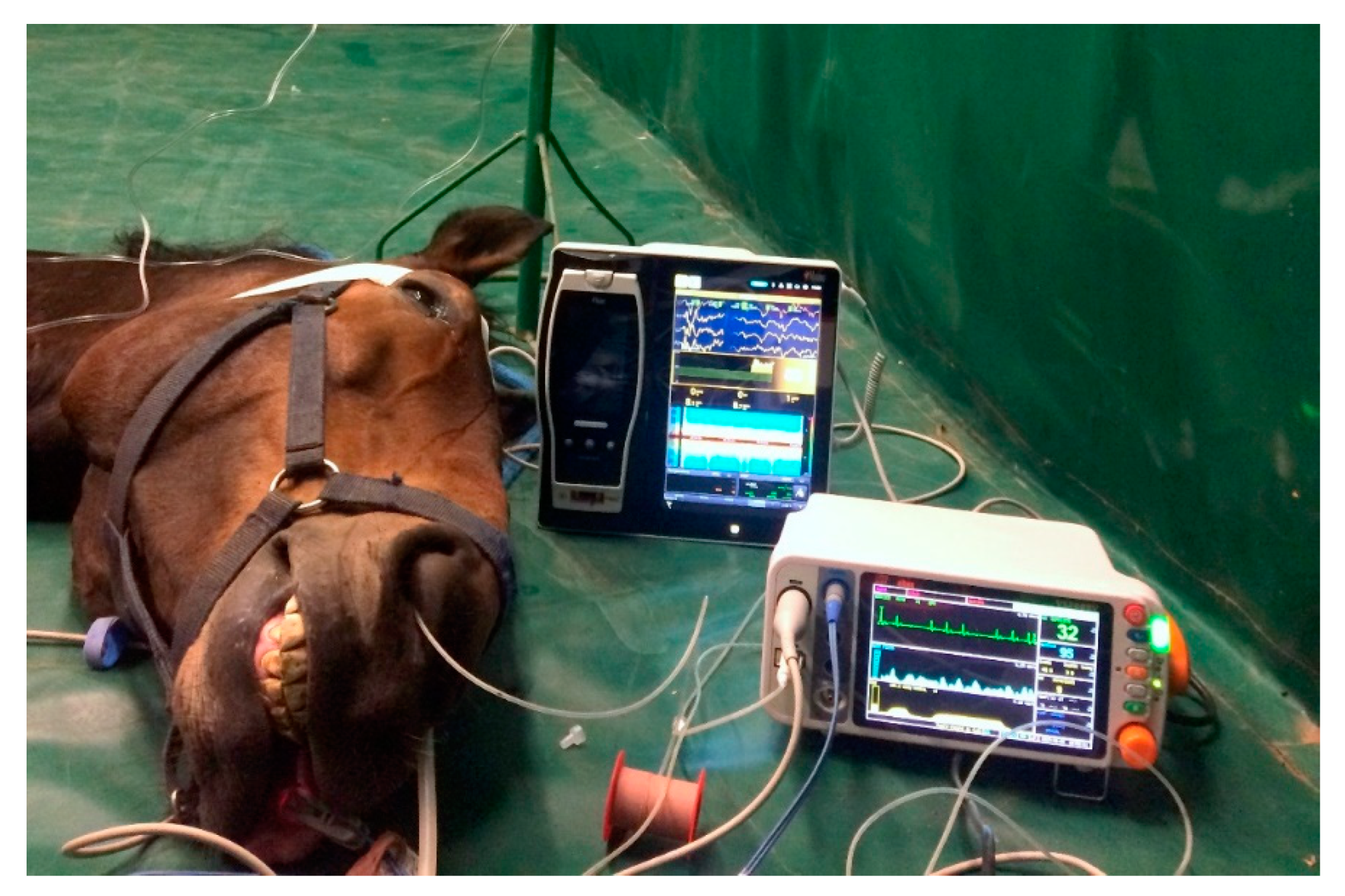 Applsci 10 01050 g002