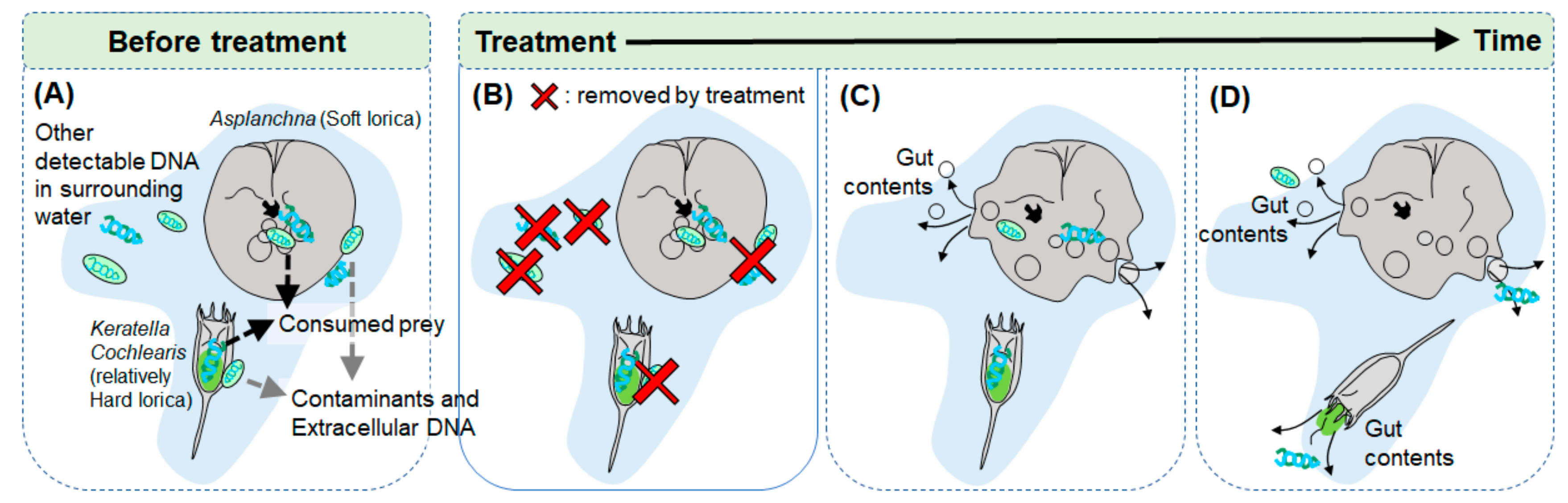 Applsci 10 01064 g001
