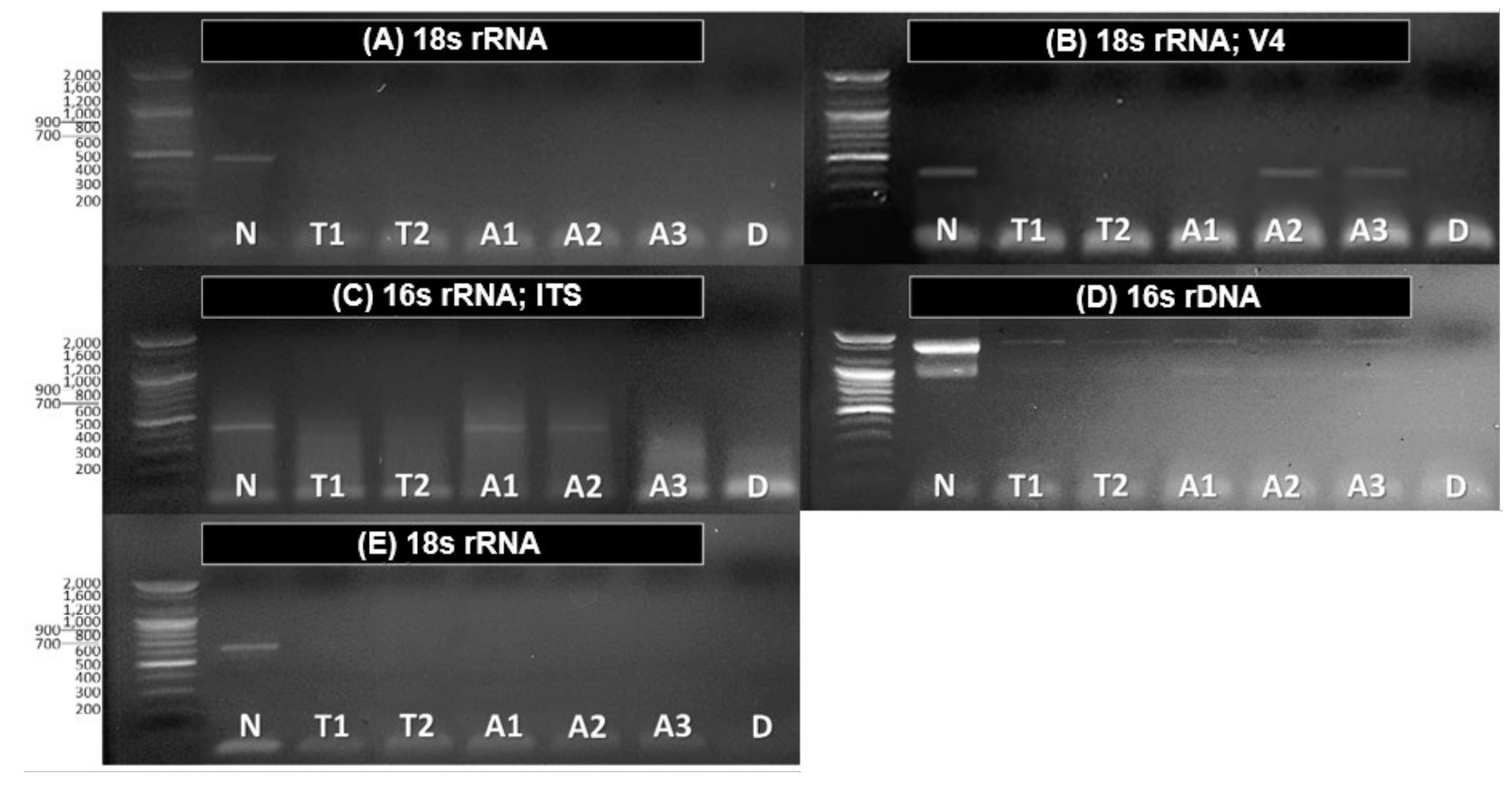 Applsci 10 01064 g004
