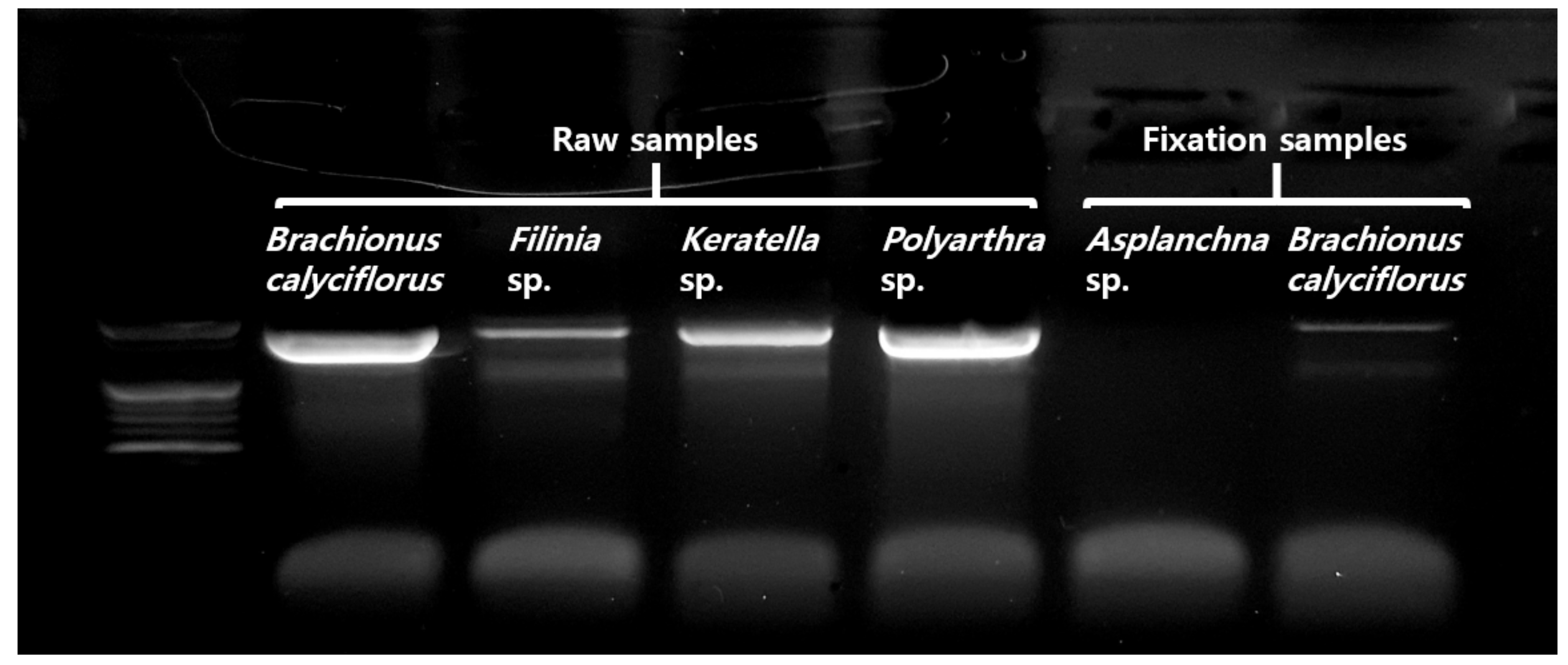 Applsci 10 01064 g0a1