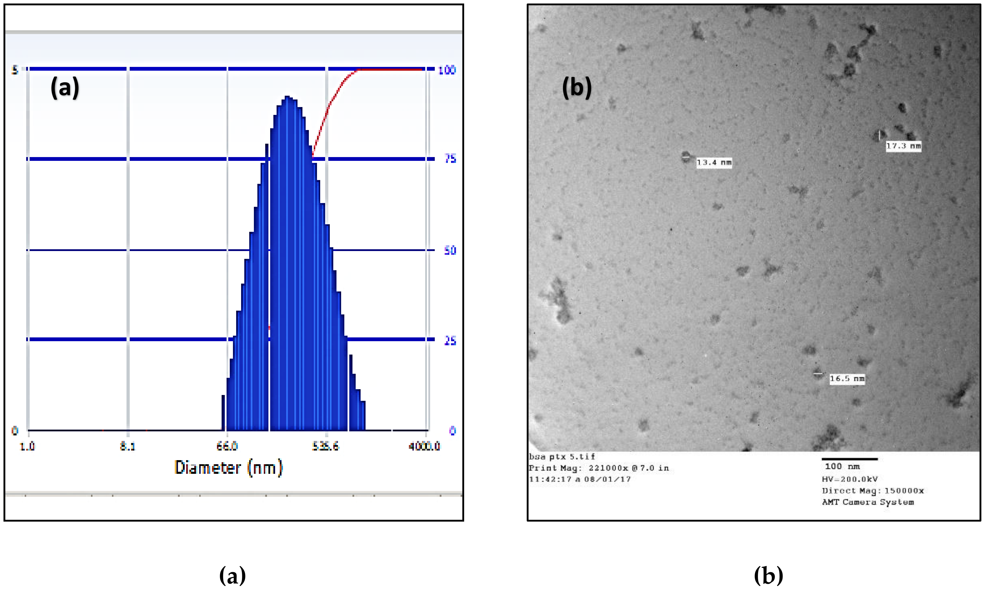 Applsci 10 01075 g002 Applsci 10 01075 g002