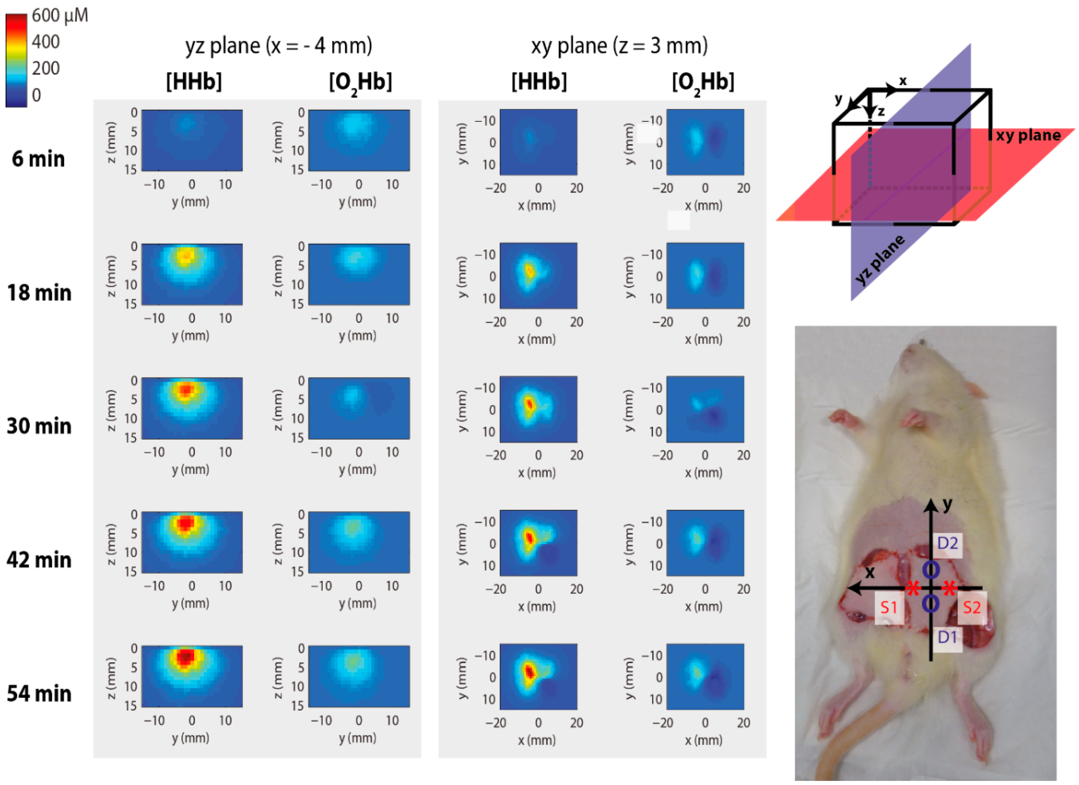 Applsci 10 01101 g015 Applsci 10 01101 g015