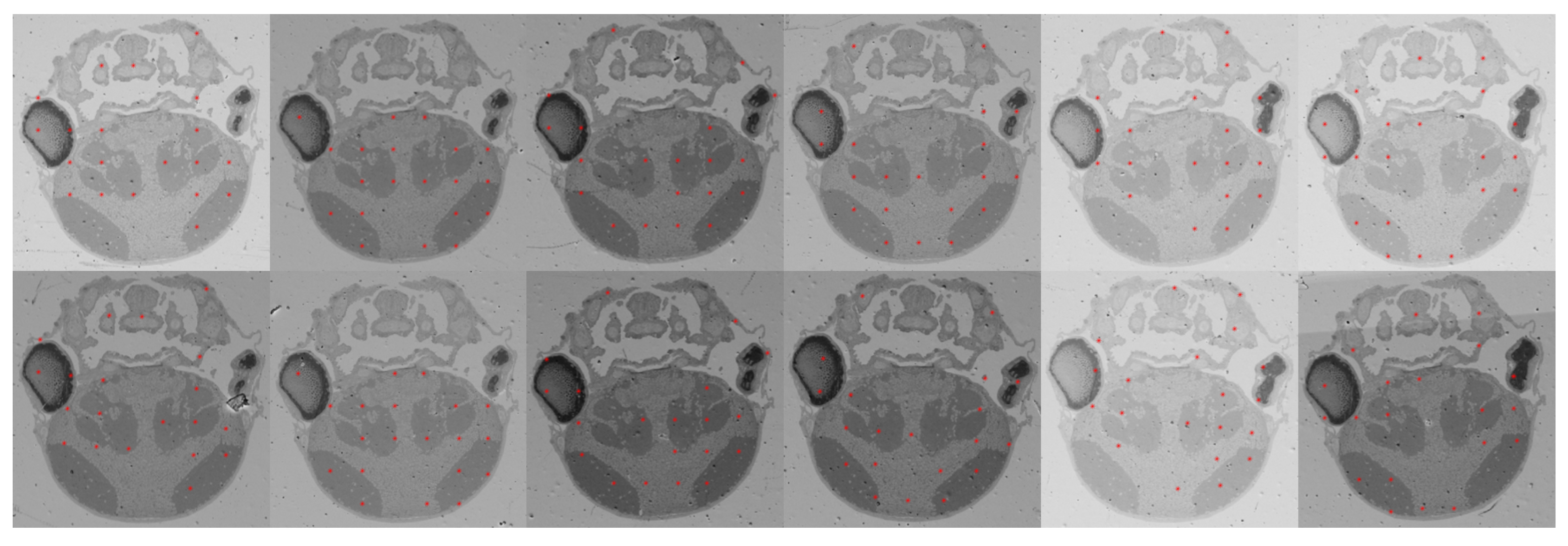 Applsci 10 01156 g004 Applsci 10 01156 g004