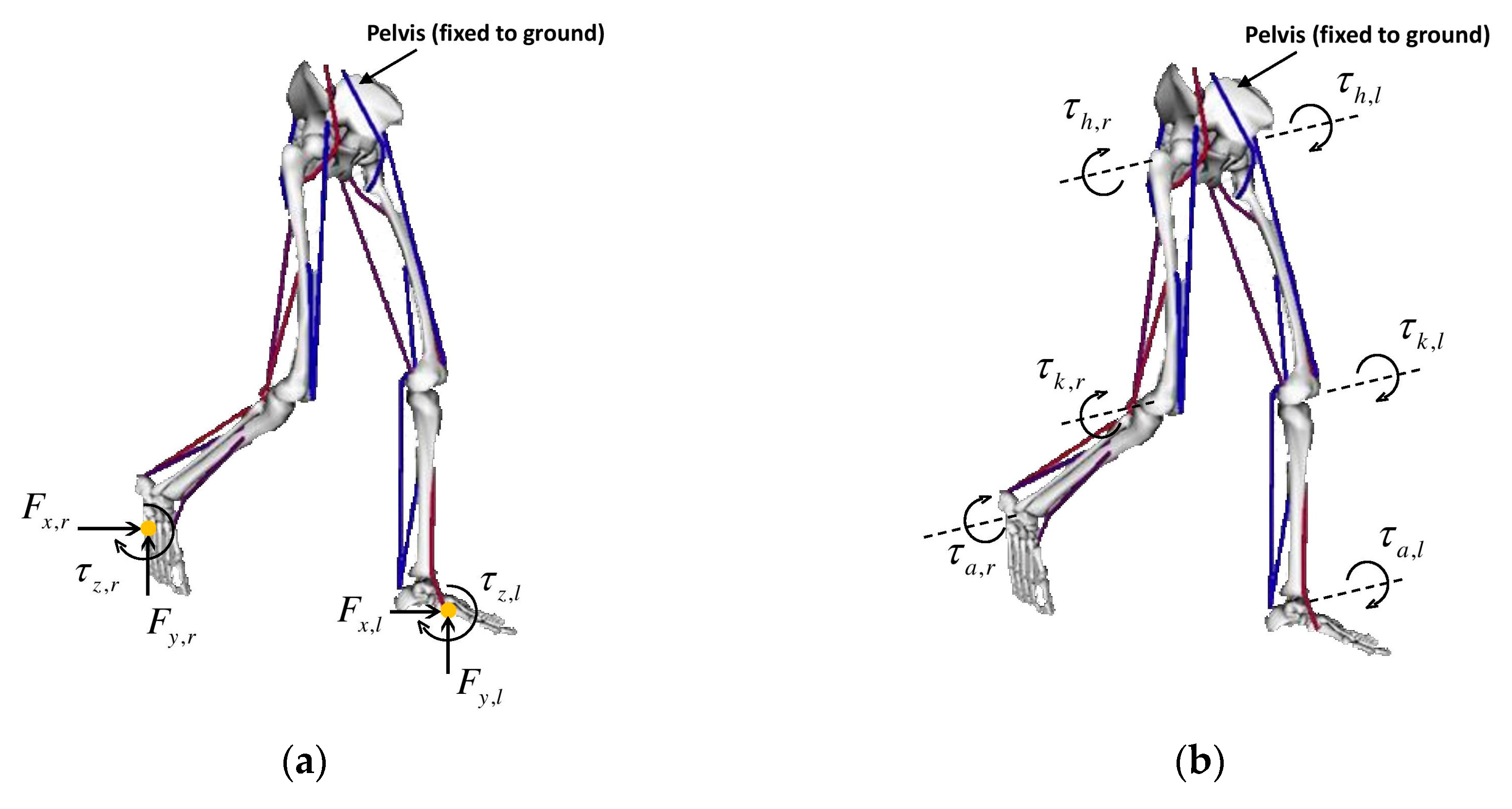 Applsci 10 01160 g002