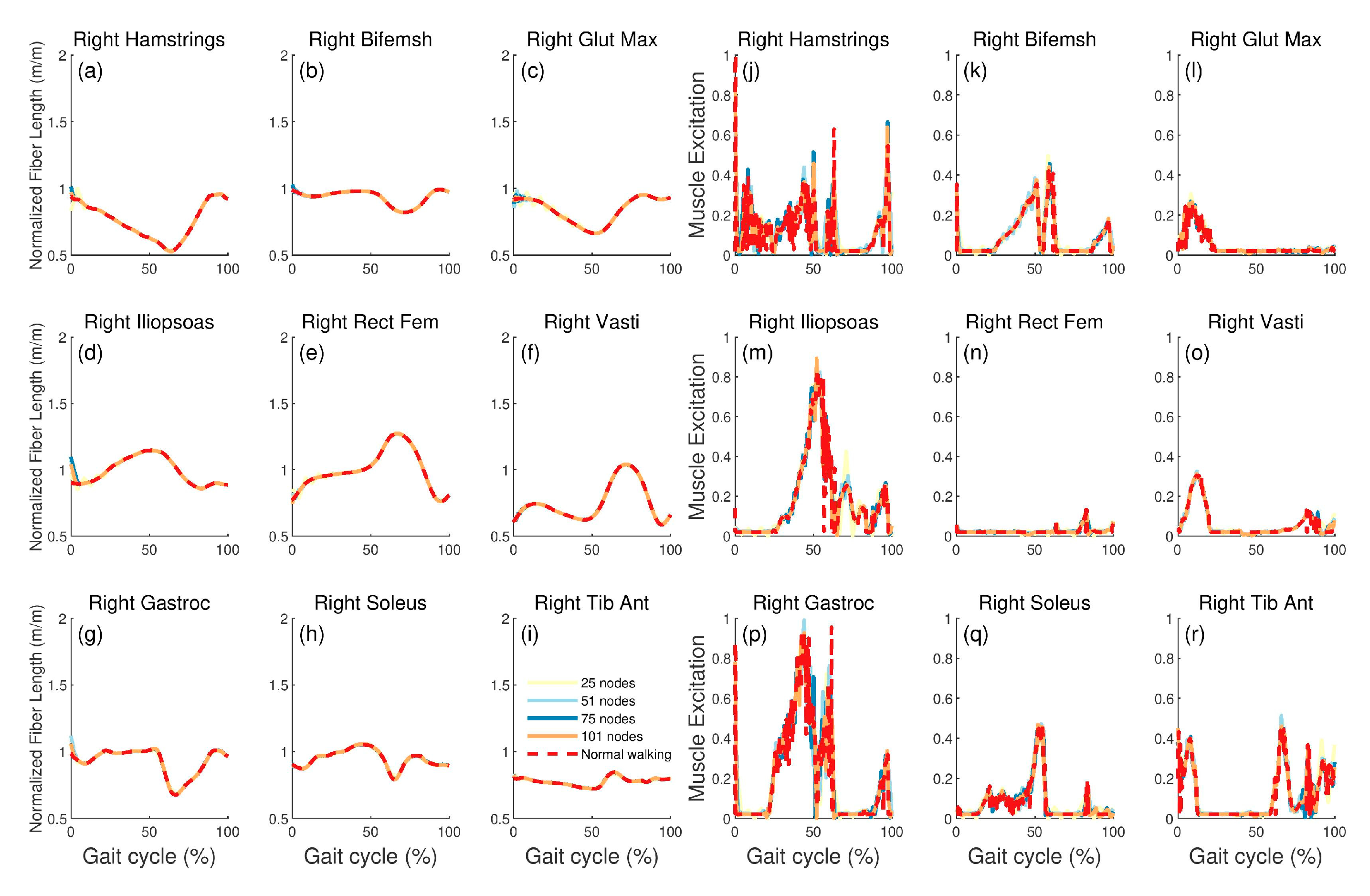 Applsci 10 01160 g005