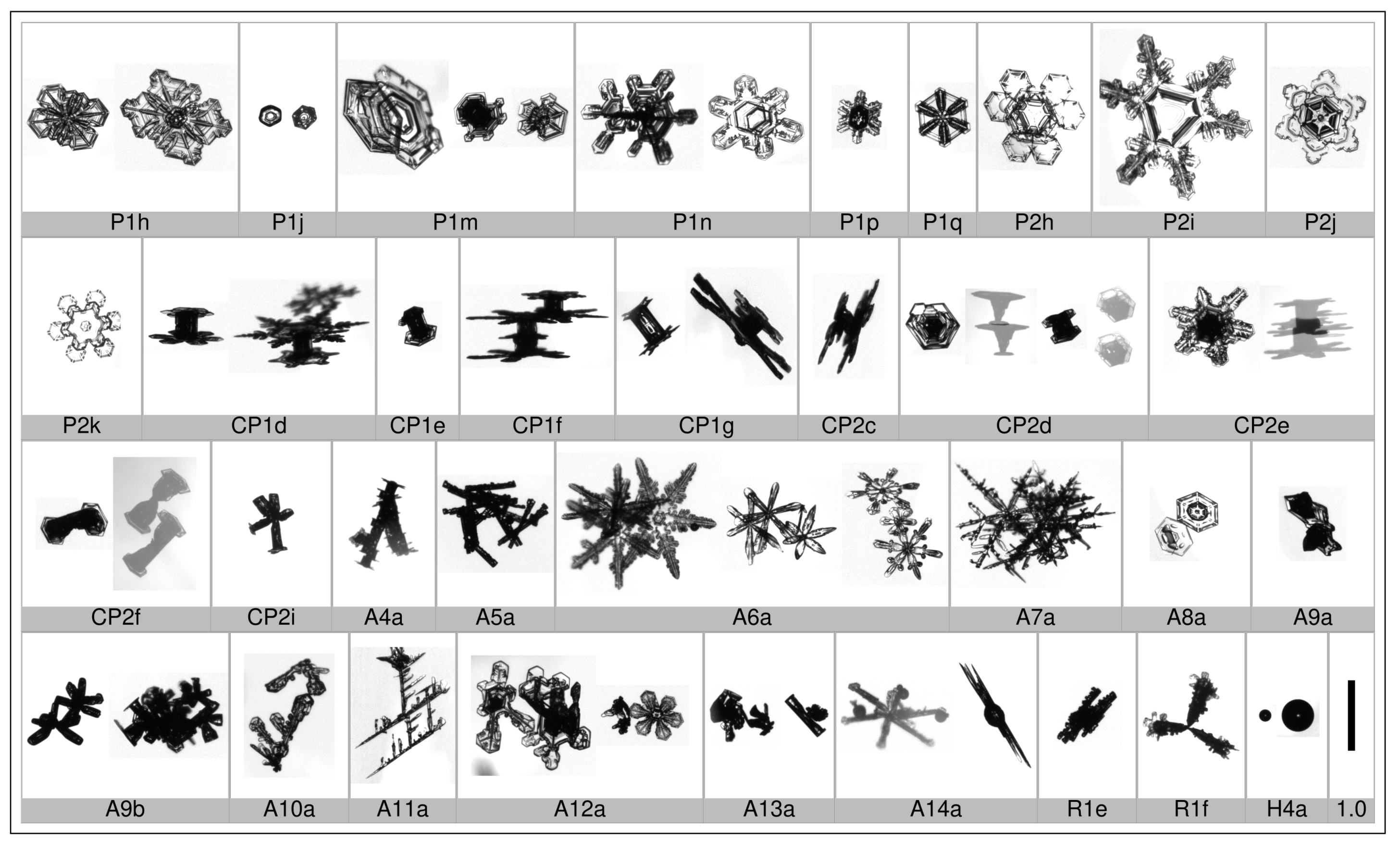 Applsci 10 01163 g002