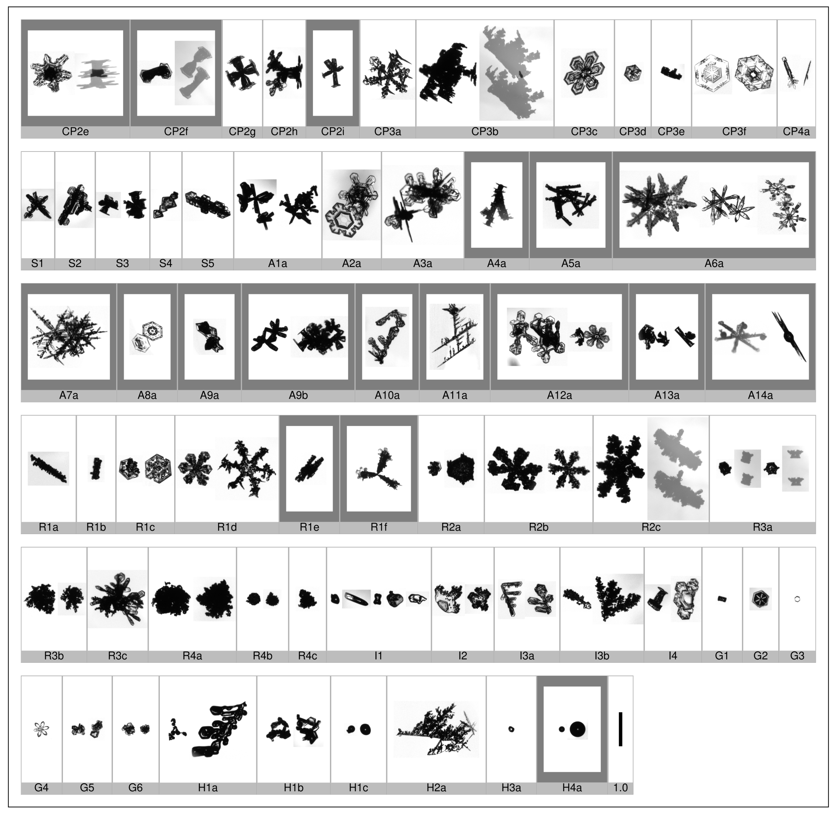 Applsci 10 01163 g0a2