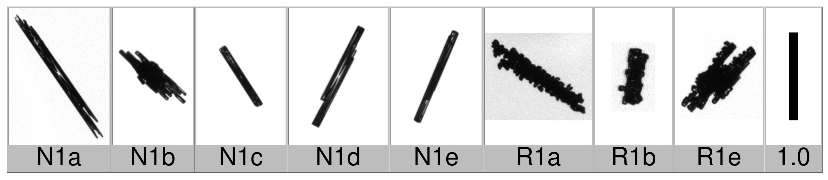 Applsci 10 01163 i001