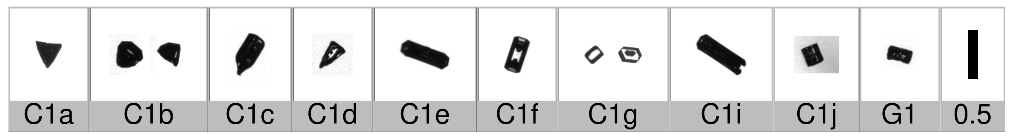 Applsci 10 01163 i003