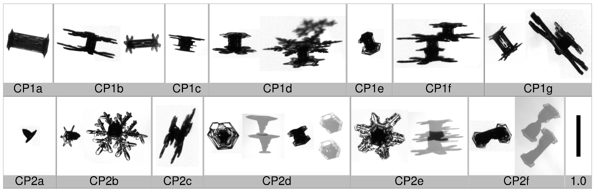 Applsci 10 01163 i004