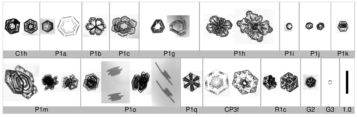 Applsci 10 01163 i005