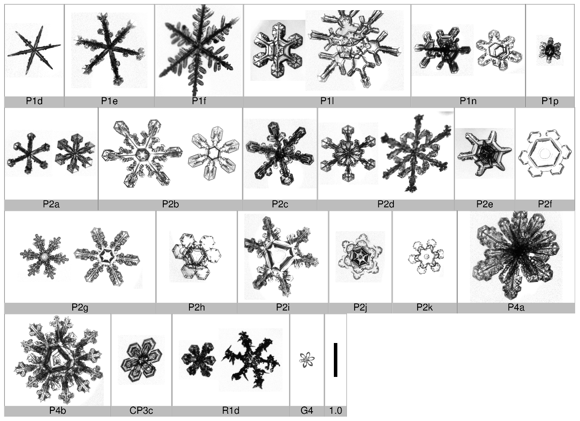 Applsci 10 01163 i006