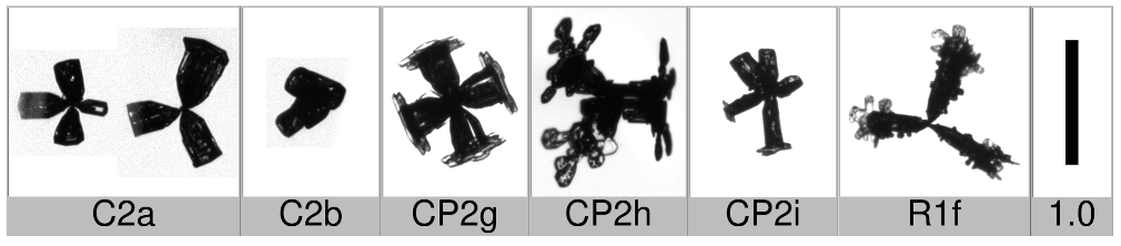 Applsci 10 01163 i007