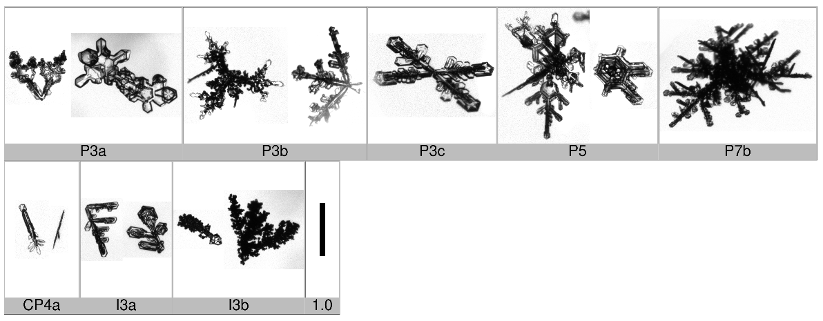 Applsci 10 01163 i008