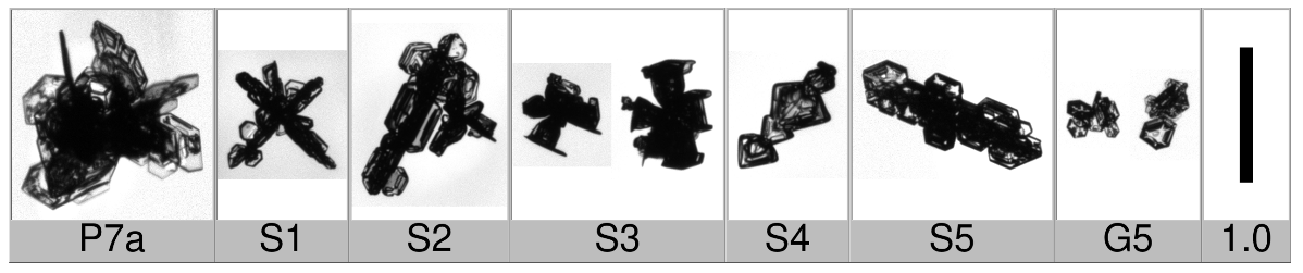 Applsci 10 01163 i009