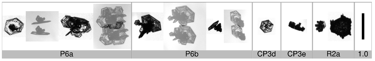 Applsci 10 01163 i010