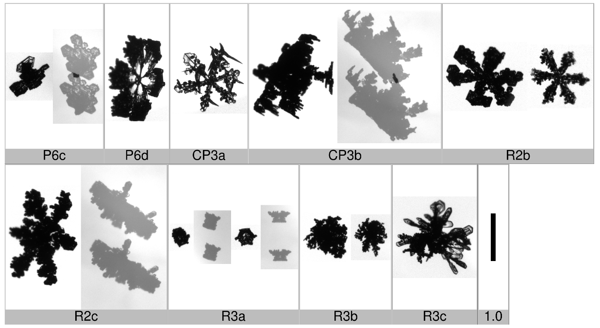 Applsci 10 01163 i011